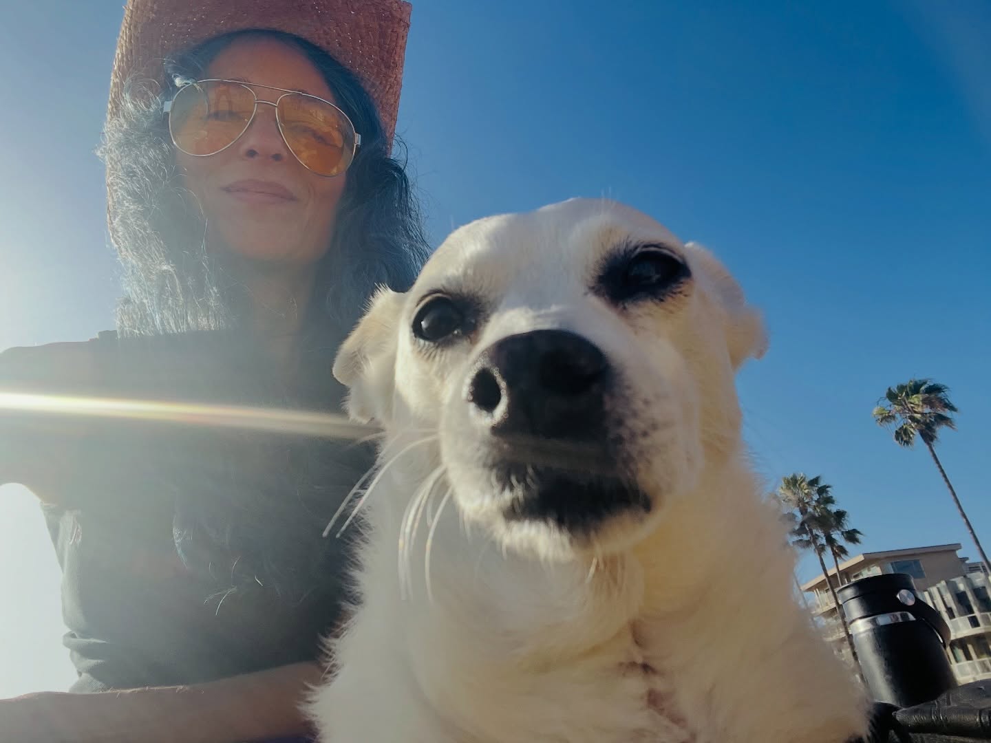 Here and Now 🌞 2nd single off new album out now #thefutureholdstolove #goodvibes #newmusic #sunshine #bestfriends