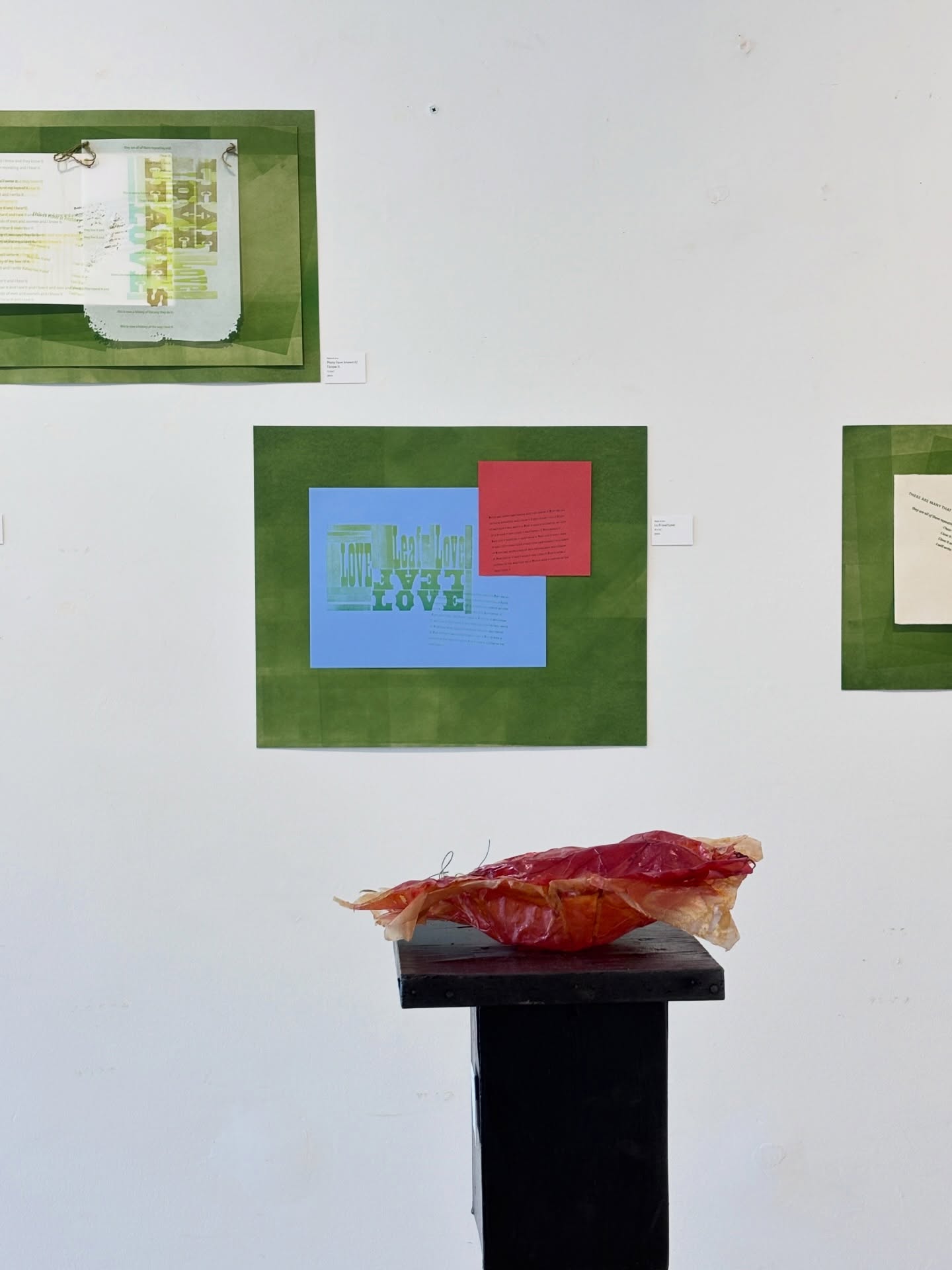 A happy thanks to everyone who came out to celebrate my exhibition, Leaf Love. Thanks to 183Gallery for their gracious welcome and delicious fare, and to my wonderful family, friends and followers who supported the launch in many ways!
Open today (Saturday) until 7pm, tomorrow, next Friday and Saturday - in case you find yourself available! DM me for a personal walk through my pieces: explorations in the delicacy and endurance of the book.