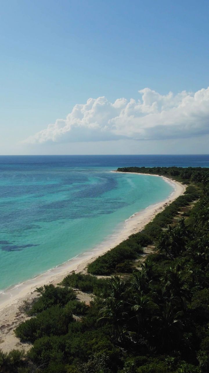 5 reasons why Cozumel should be on every diver’s bucket list 🌊
From crystal-clear visibility to vibrant reefs and world-class drift diving… this island isn’t just a destination—it’s an experience you’ll never forget.
And the best way to explore it? With Aldora Divers 💙
Small groups, fast boats, personalized service, and dives that truly go beyond the ordinary.
Ready to see it for yourself?
📩 Book your next underwater adventure with us.
👇 Which reason would make YOU dive Cozumel?
#CozumelDiving #AldoraDivers #ScubaLife
#DiveCozumel #Cozumel
