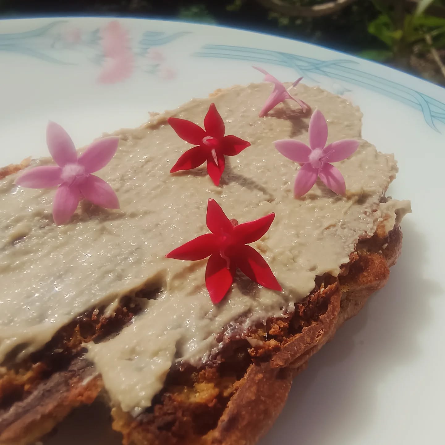 Homemade Banana Bread + Homemade Sunflower Seed Butter + Farm fresh Edible Flowers = Happy Monday Morning.🩷🌸😊
#edibleflowers #mondaymornings #mondaymood #breakfast #healthybreakfastideas