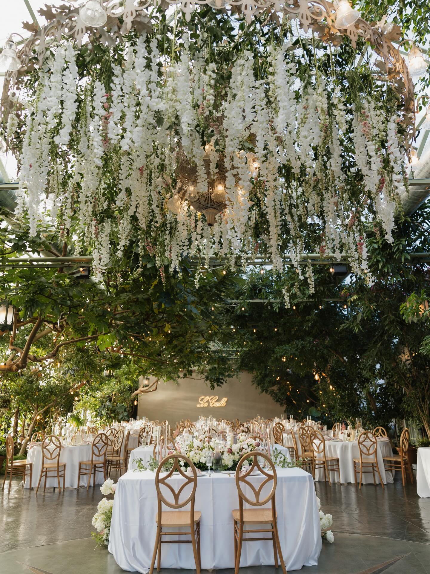 Talk about a statement piece! This chandelier was an absolute dream and made for the perfect impactful moment above dance floor and sweetheart table!
Photo: @kiannacorri
Video: @summer_rrae
HMUA: @makeupbyliz
DJ: @djchaseworthen
Pianist: @brilewismusic
Florist: @delaflor.studioco
Venue: @lacailleutah
Rentals: @diamondeventandtent @indigo.utah
Bar: @vintage_mobilebar
Catering: @magelbys_catering @fiorepizza
Cake: @cakesdefleur
Photobooth: @eversonphotobooth