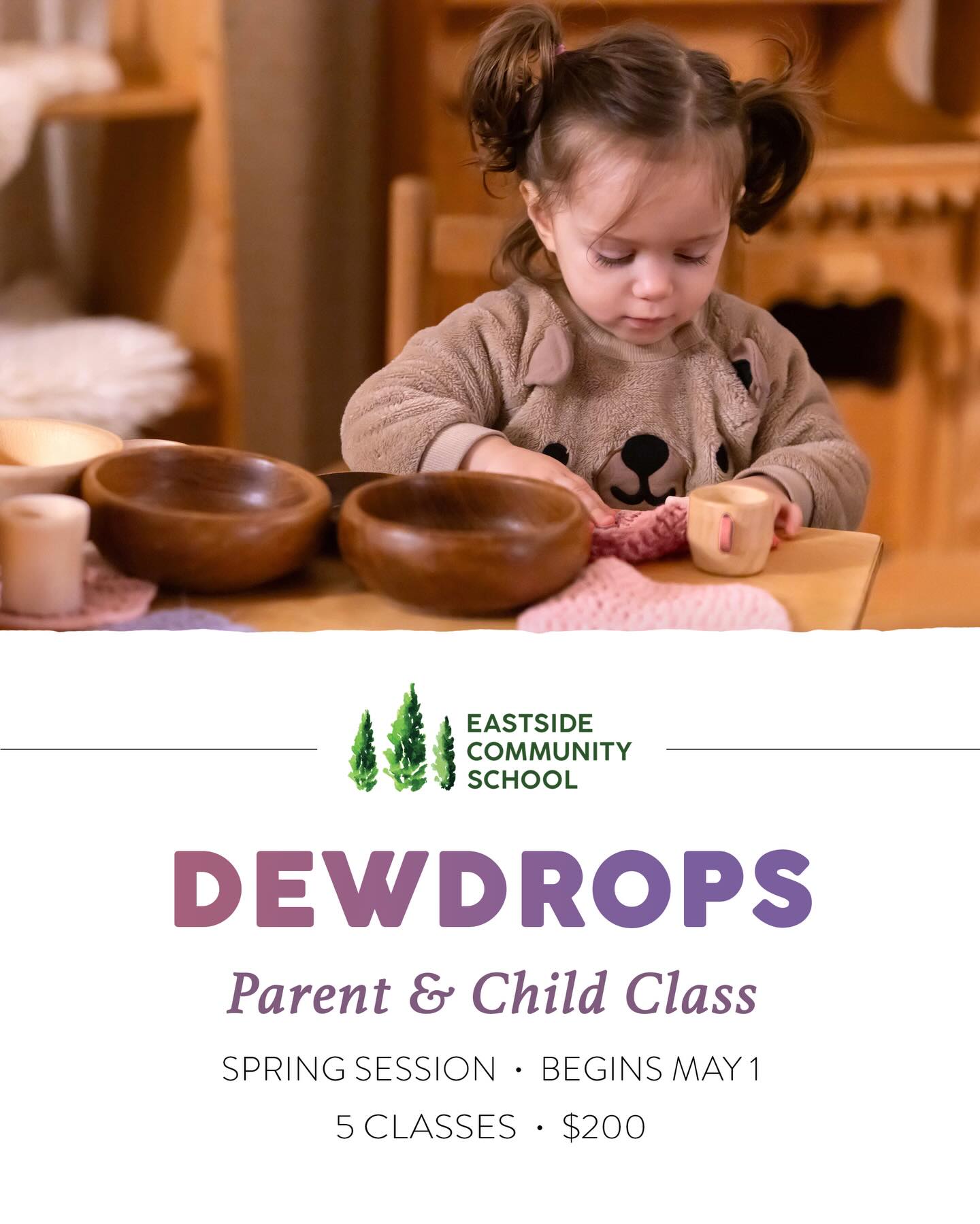 🌸🌿✨ At Eastside Community School, our Parent-Child classes offer a warm, nurturing space where young children and caregivers grow together, honoring the gentle rhythms of early childhood and fostering meaningful connection in a busy world.
For children from birth to age 3, we create a loving environment rich in play, imitation, and sensory experiences - through open-ended play, seasonal songs, storytelling, nature connection, and simple handcrafts. Parents are invited to observe, ask questions, and share in thoughtful conversation within a supportive, inclusive community.
At its heart, this class honors early childhood as a sacred time, nourishing both the child and the parent through a deeply meaningful and caring experience. ✨🌿🌸
Come feel the warmth, connection, and gentle rhythm of a Dewdrops Parent-Child class!
Spring Session:
• Fridays, 8:00am–9:30am
• May 1st - June 5th, 2026 (no class on May 22nd)
• $200 for 5 weeks
• At Eastside Community School, Issaquah
👉Use link in bio for more info and to sign-up.
#ECS #eastsidecommunityschool #waldorf #earlychildhood #parentandchild