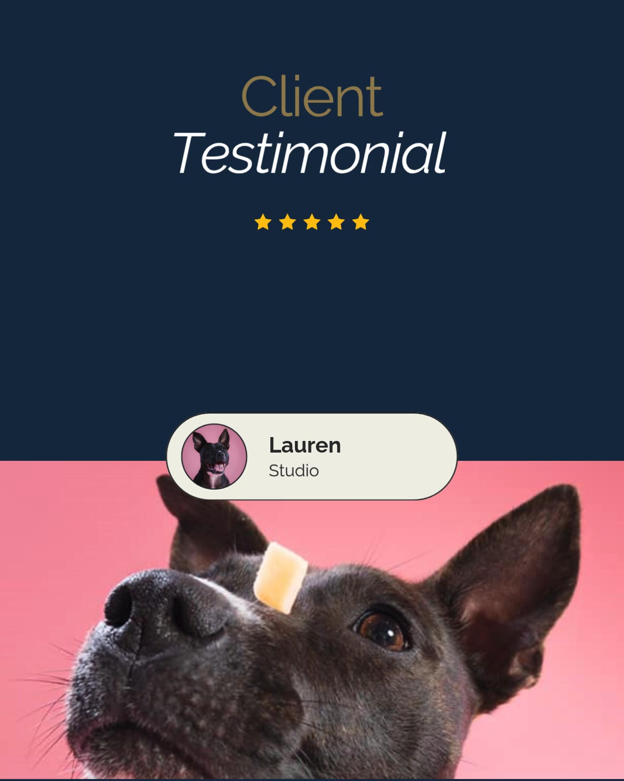 A little client love from Lauren after her studio pet session.
She said she and her puppy had the most wonderful time, and that the photos captured the beautiful and hilarious moments she will treasure forever.
Honestly, that is the goal.
I do not want pet sessions to feel awkward or overdone. I want them to feel relaxed, fun, and full of personality - with photos that actually feel like your dog.