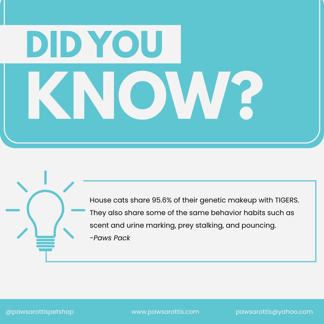 Did you know? ๐๐พ
#dogcattrivia #pawspups #pawsarottispetshop