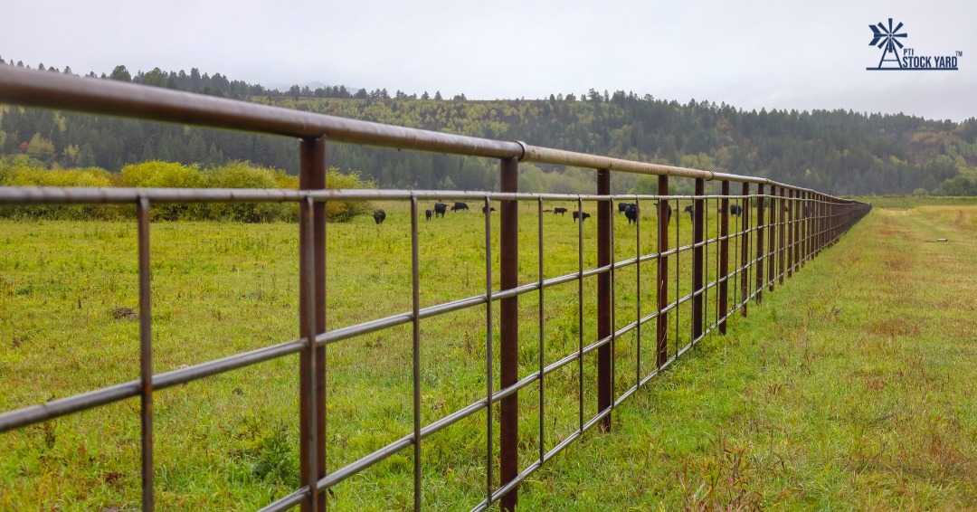 It’s Tax Day! 💸 While you’re balancing the books, why not invest in something that actually pays you back in time and peace of mind?
Our continuous fence panels are built for the long haul. Unlike traditional fencing that needs constant repair, these are:
✅ Maintenance-free
✅ Easy to install (saves labor costs!)
✅ Heavy-duty steel to withstand all the seasons
Don’t just build a fence; give yourself a perimeter you can trust. Come see us here at PTI Stock Yard in Preston, or find a dealer near you, and let’s plan your layout! 🤠
📞208.380.6997
📍1090 W 800 N Preston, ID
🌐https://www.ptistockyard.com/dealer-locations
If you don’t already, give us a follow on all of our social media accounts!
#ptistockyard #continuousfence #ranch #quality #fence