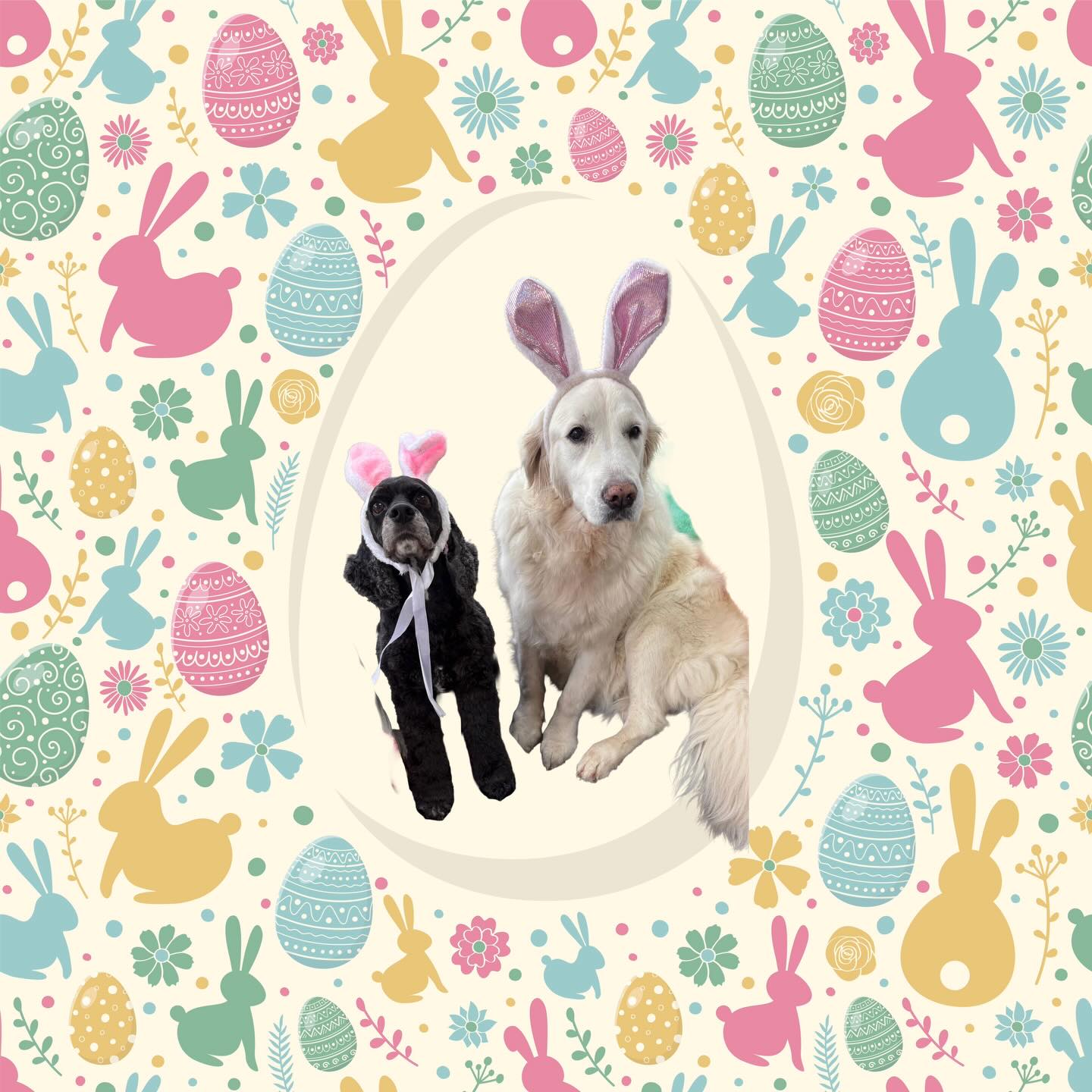 Happy late Easter from our staff pets!🌷🐾