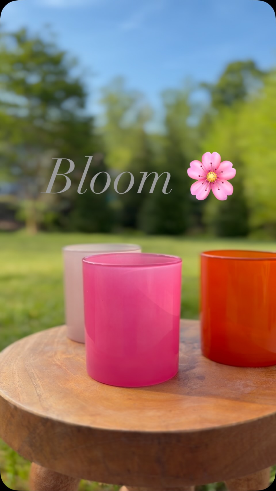 A fresh take on simple eleganceā¦
Our Bloom Collection is coming soon šø
Clean, hand-poured candles with a little more personality!
#springcandles
#luxurycandles
#cleanburning
#coconutsoycandles
#handpouredcandles
