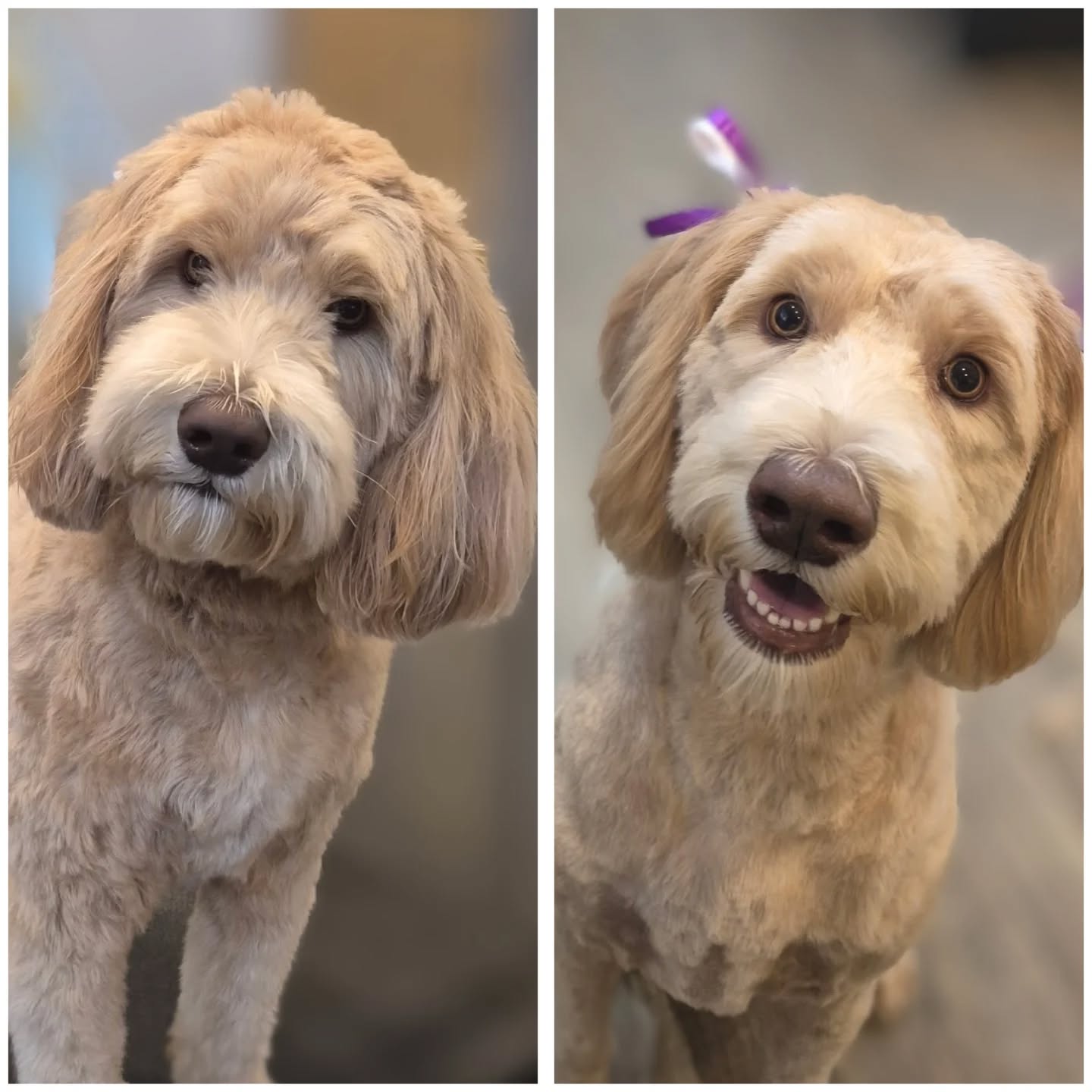 Murphy looking beautiful