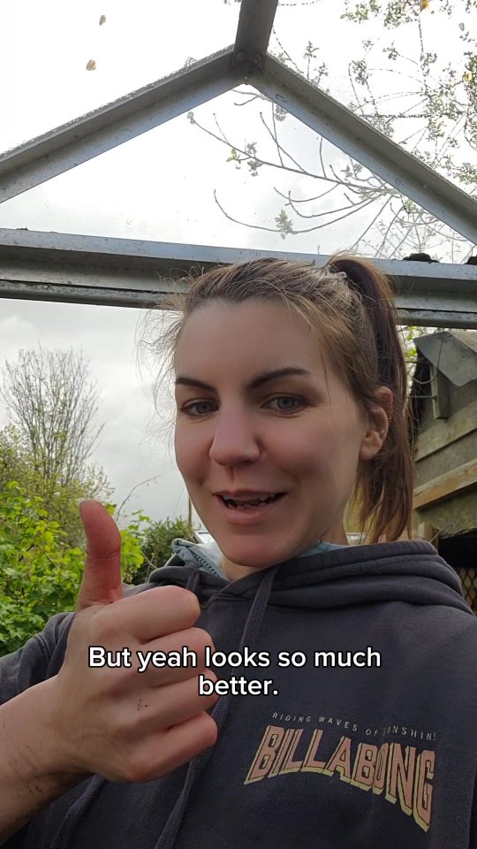 Getting the greenhouse sorted as the tomatoes and chillies are almost ready to go in π₯³ #allotmentuk #allotmentlove #growyourown
