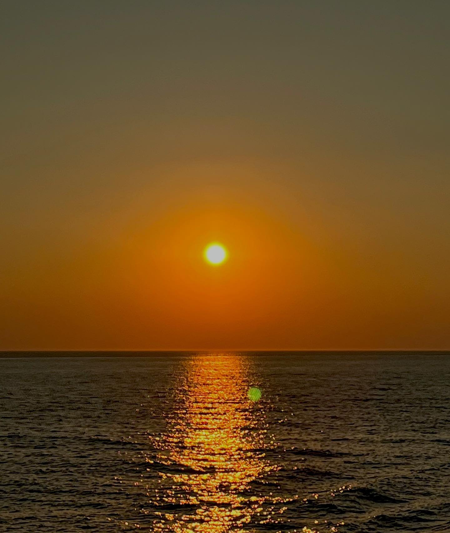 Life lately 🌞✨