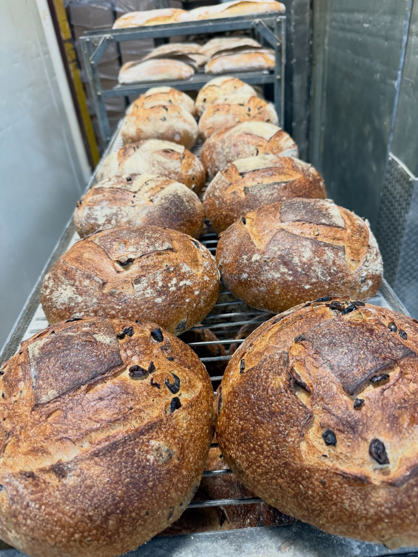 olive sourdough. nothing extra, nothing missing! #bakerspov #mediterrabakehouse