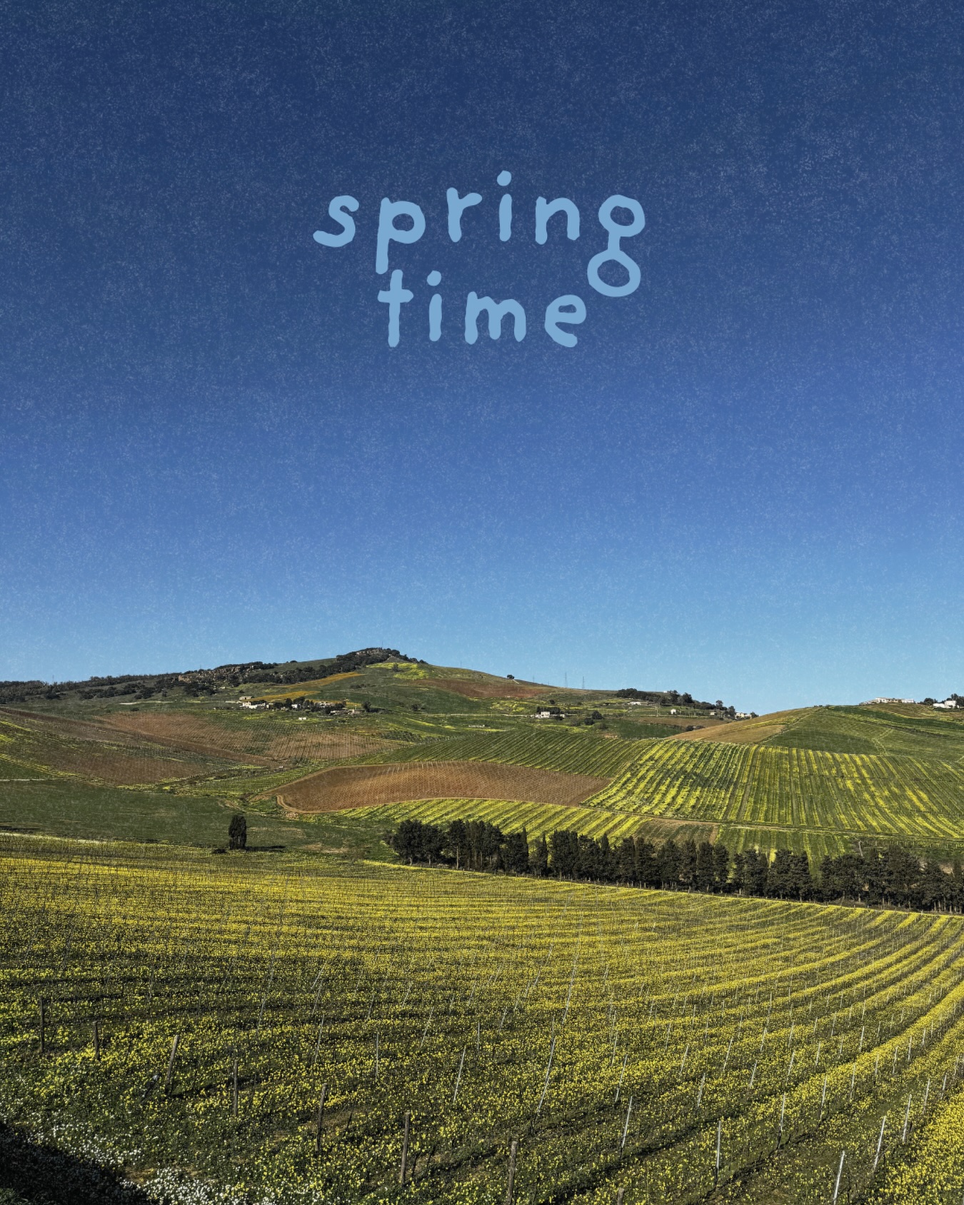 Spring Time in Sicily 🌸☀️
La primavera in Sicilia ha il profumo della terra, il colore delle vigne e la luce che accende ogni paesaggio.
È il momento perfetto per rallentare, respirare e brindare alla nuova stagione.
📍Via Nino Tesoriere 7 | Castellammare del Golfo
📞327 9523280
#SpringInSicily #TerreDiBruca #SicilyMood