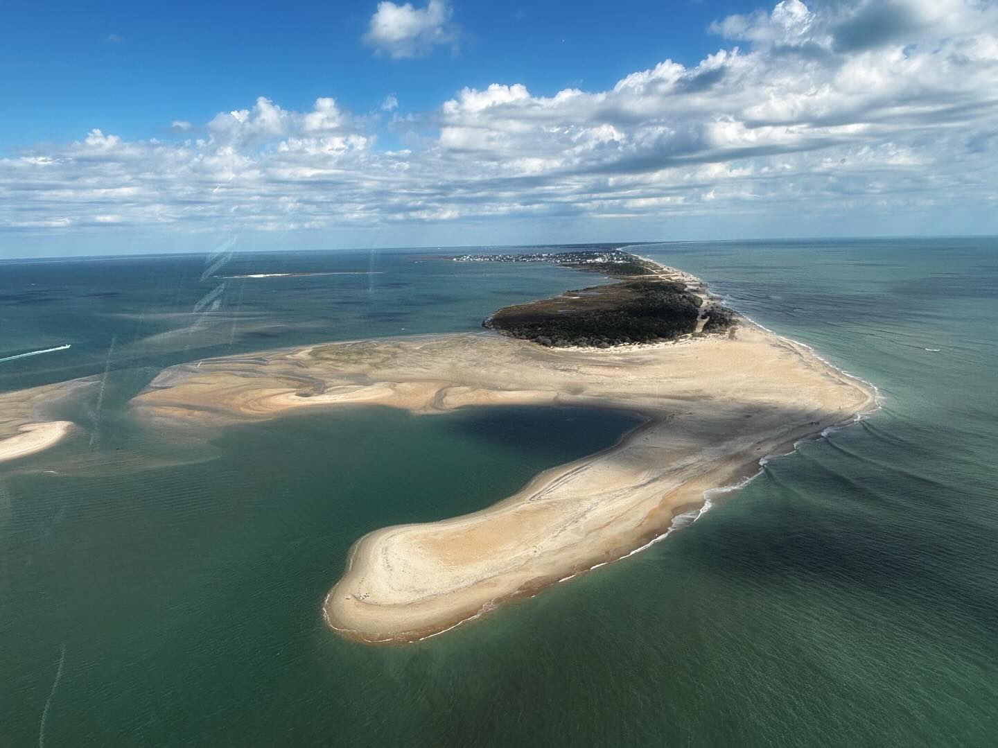 Spring has sprung here on the Outer Banks!
