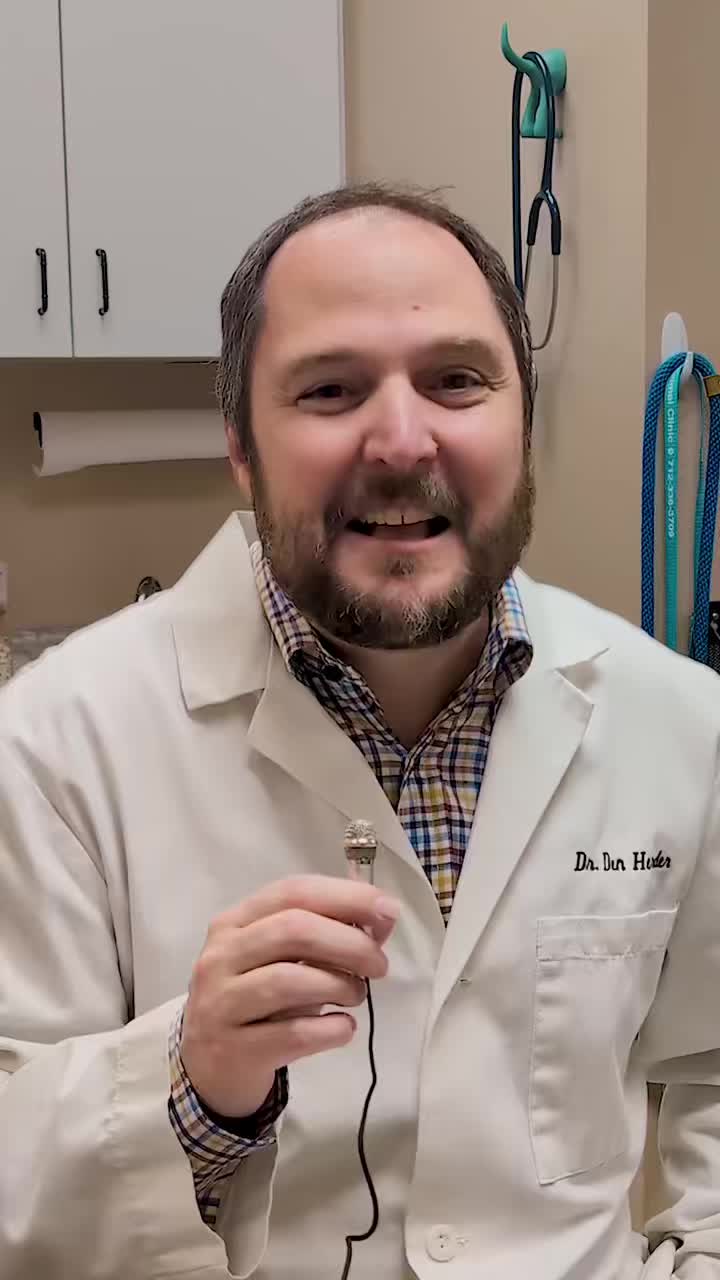 We are thrilled to feature Dr. Reid Den Herder from Dickinson County Animal Clinic for our very first segment of ask a vet! Bringing a new family member home is incredibly exciting, but it’s completely normal to have a few questions along the way. We sat down with Dr. Den Herder to talk through exactly what new pet parents can expect at their first vet visit.
A massive thank you to DCAC for being such a wonderful partner and a huge supporter of our mission. They do so much for our animals, including an incredible perk for our adopters: All pets newly adopted from our Humane Society get their first vet visit at DCAC completely free of charge!
Let us know what you'd like us to ask a vet next by dropping your questions in the comments below! 👇