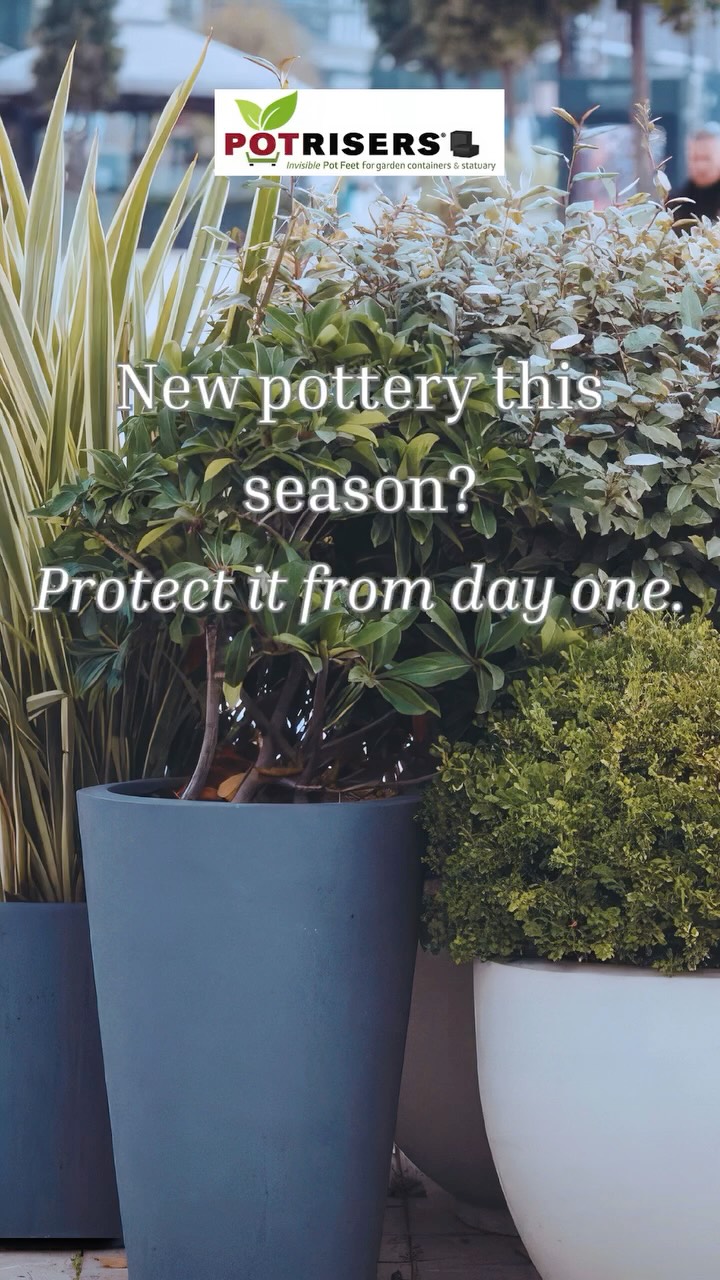 Stop letting your planters sit flat 👀
Potrisers® give your containers the lift they need—for healthier plants and cleaner surfaces.
We’re proud to partner with incredible retailers across the country who bring Potrisers® to your gardens.
Find us near you and support local 🪴💚
West Coast:
@potteryworld @sky_nursery @swansonsnurseryseattle @sloatgardens
Central:
@jacksonhg @detroitgarden @southwestwholesalenursery
East Coast:
@marderslandscaping @amelias_smartyplants @driftwood_garden_center
👉 Tag us when you spot Potrisers® in-store or in your garden
#retailpartners #supportlocal #gardenlife #plantcare #outdoorliving #shopsmall #gardencenter #containergardening #gardening #ceramicplanters #planterstyle #pottery #potrisers