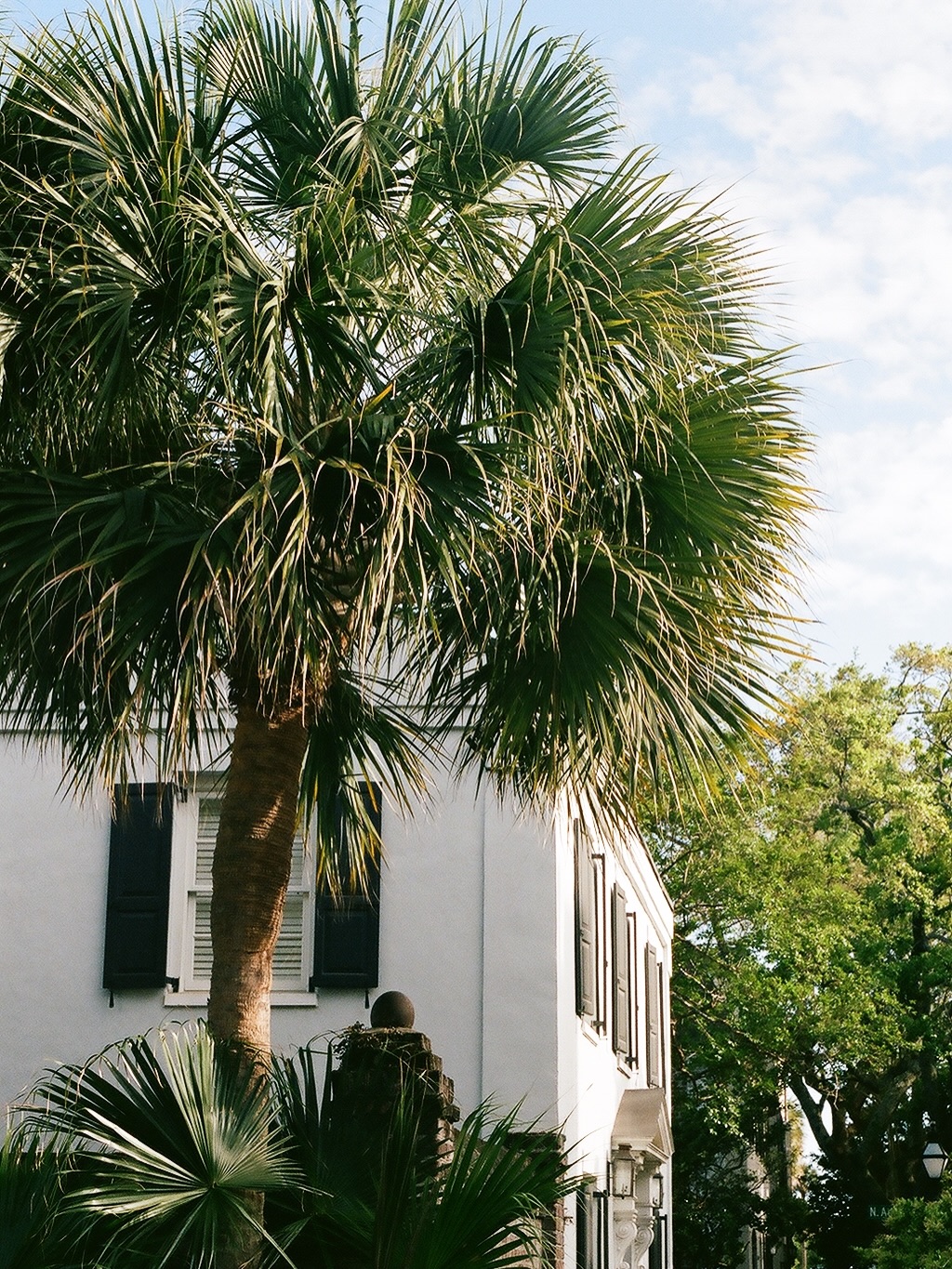 Snapshots from Charleston 🌴
Film by the amazing @kiarra.rae.photography