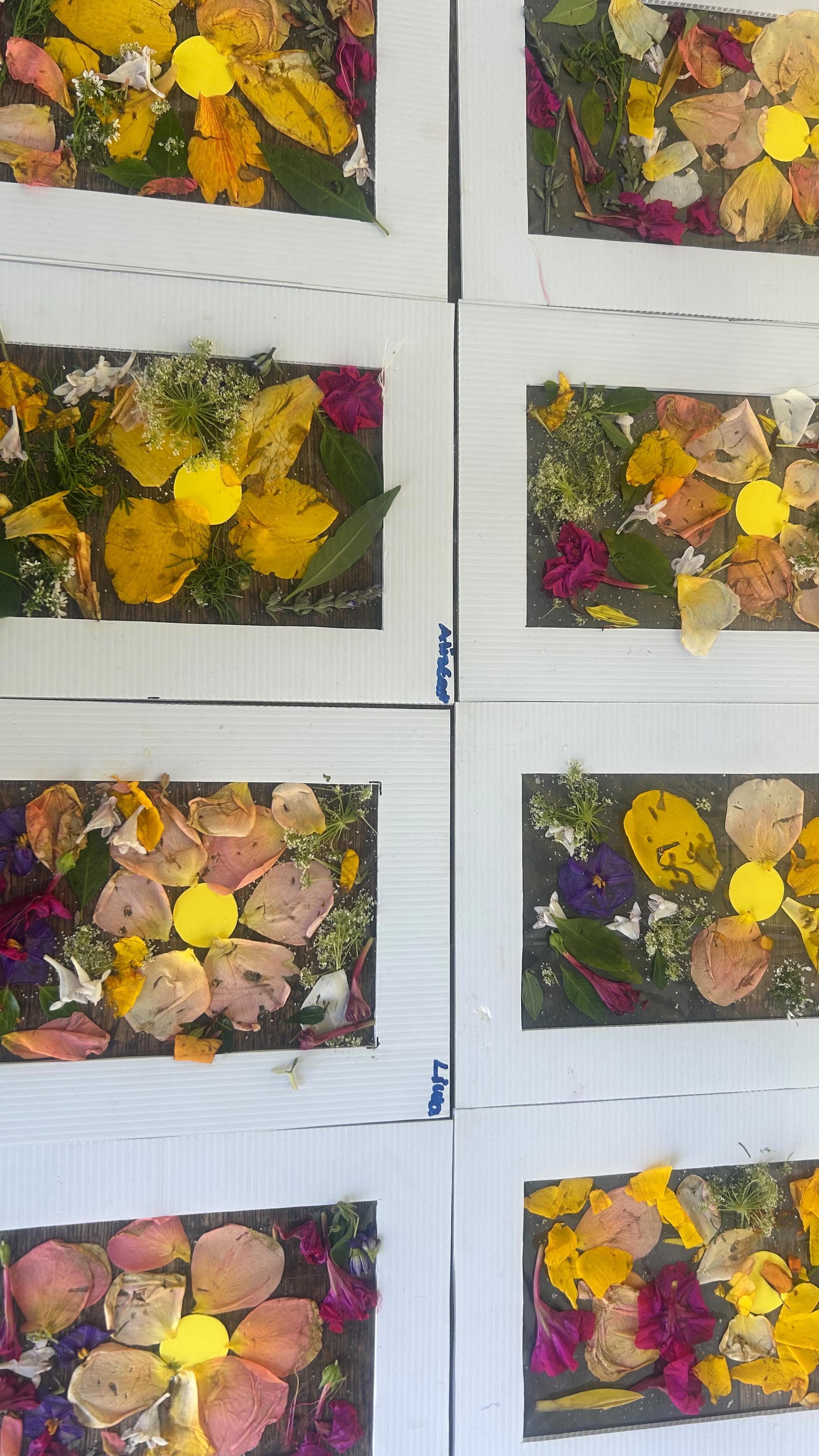 Our children explored the garden 🌳gathering their own treasures of flowers and leaves, carefully arranging them into delicate, nature frames 🌸A simple invitation to slow down, observe and appreciate the quiet beauty of nature all around us 🌱#preschool #montessoripreschool #naturebasedpreschool #playgroup #education