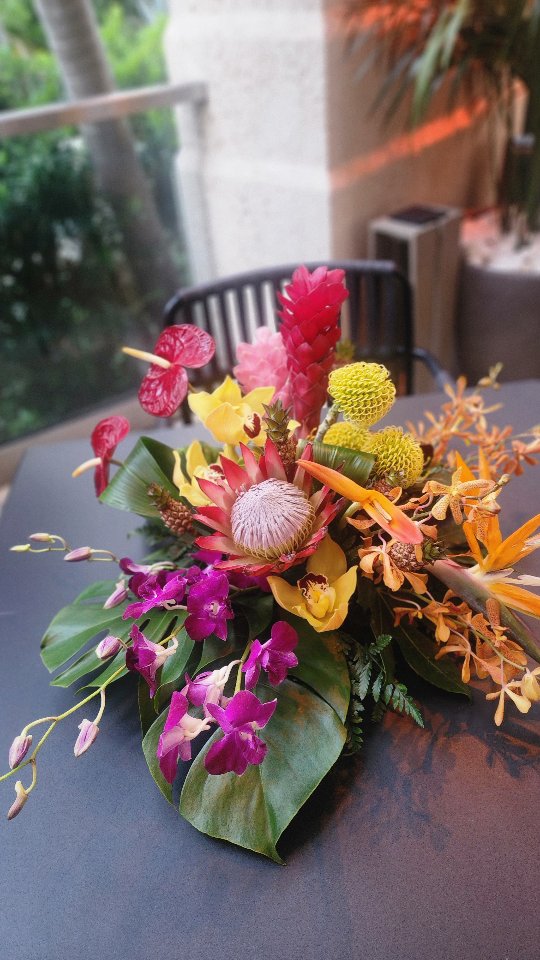 Bring the atmosphere of a tropical paradise to your event 🏝
Decoration by @dreamark_events
Call ☎️ 954-990-4519
Email 📧 DreamARKevents@gmail.com
Website 🌐
DreamARKevents.com
#miamipartydecorations
#browardflorist
#miamiflorist
#palmbeachflorist
#eventdecoration