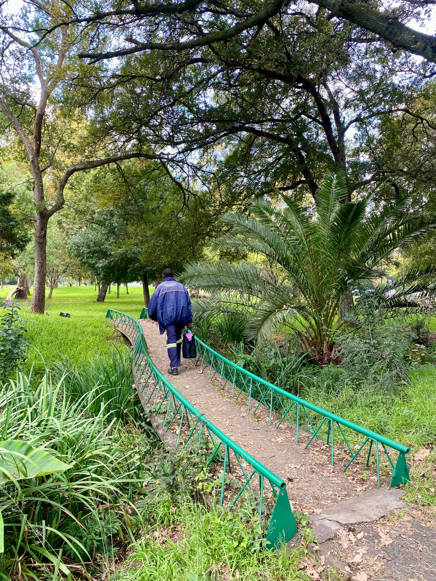 The upper wetlands bridge repainting is done and it is looking mooi! 💚
Isn’t it amazing what just 1 litre of paint can do? Swipe for the before photo.