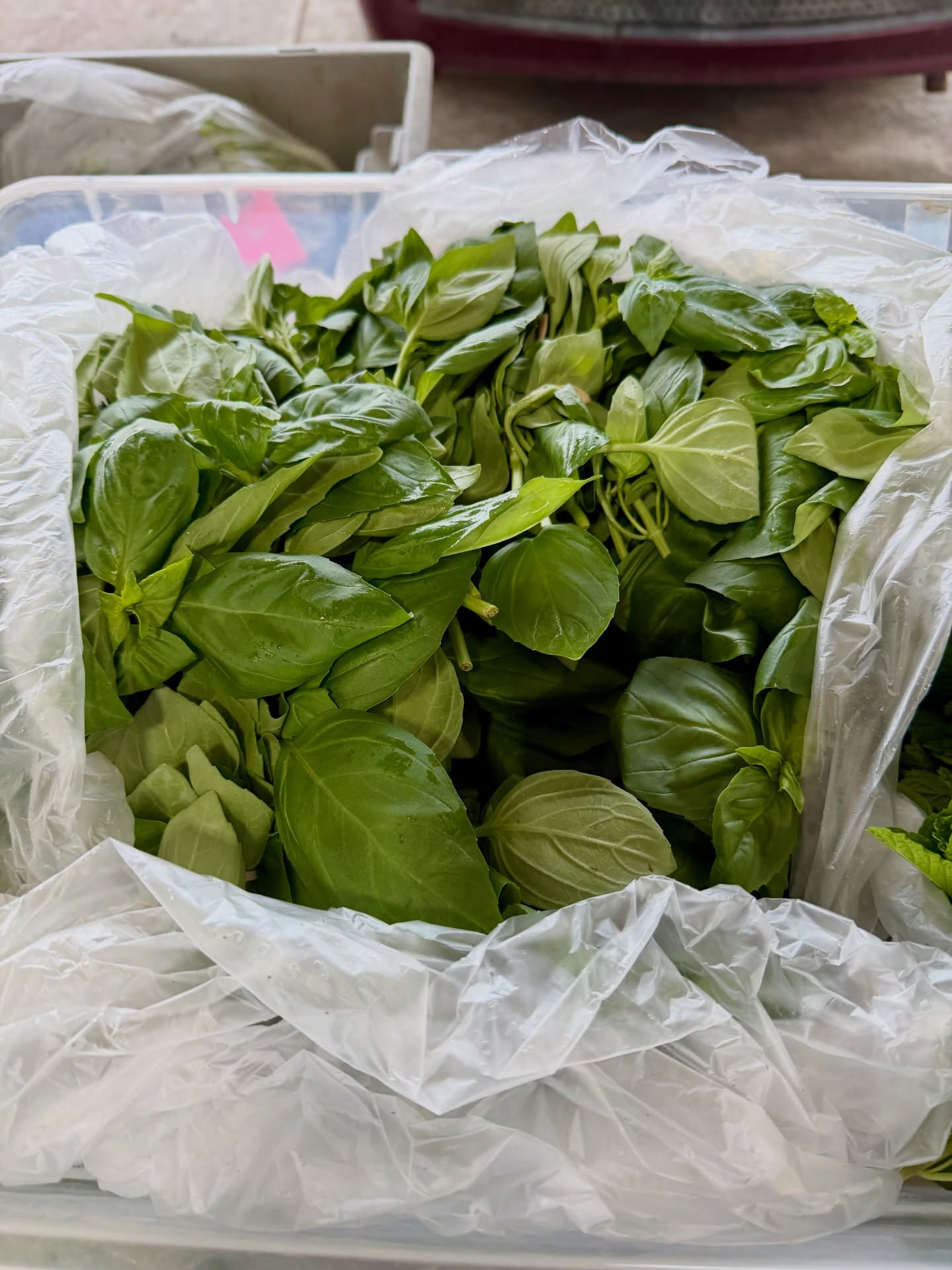 The beginning of early greenhouse goodies have arrived at market! Grab your groceries and come say hi to your farmers until noon this morning. 🌿