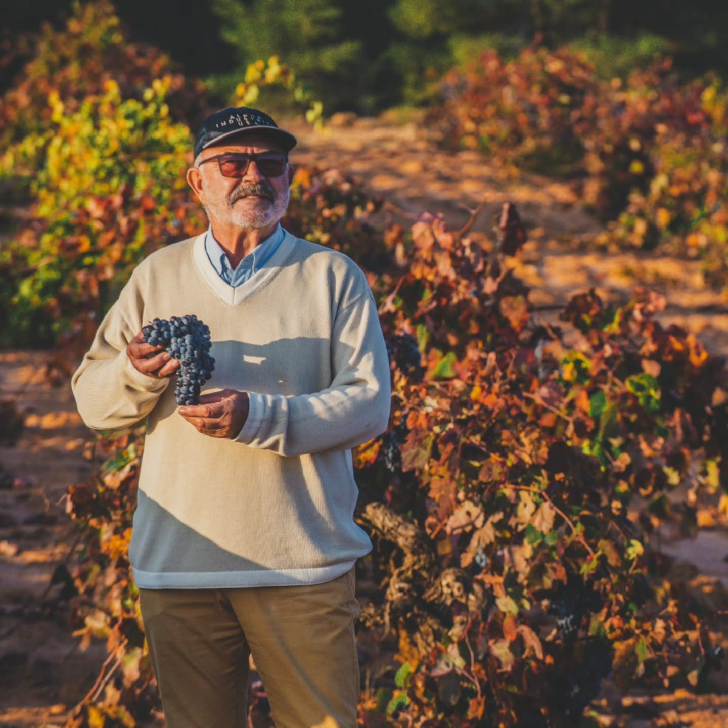 Enrique Caracena Murciano
Tres generaciones de familia trabajando la tierra en la región levantina . Conoce cada parcela, cada ladera, cada cepa por su nombre. Cuando al final del día sostiene un racimo de Bobal entre las manos y lo observa en silencio, se entiende algo que no aparece en ninguna ficha técnica: que el terroir no es solo suelo, ni clima, ni altitud. Es el tiempo vivido. Son los años de presencia, de observación, de decisiones tomadas con calma. Todo eso está en la uva que sostiene.
——————————————————
Enrique Caracena Murciano
Three generations of family in Levant region working the land. He knows every parcel, every slope, every vine by name. When he holds a cluster of Bobal in his hands at the end of the day, you begin to understand what terroir really is. Not just soil. Time, lived.
——————————————————
אנריקה קרסנה מורציאנו
שלושה דורות של משפחה באזור לבנט. הוא מכיר כל חלקה, כל מדרון, כל גפן בשמו. כשהוא אוחז אשכול של בובל בסוף היום, אתה מתחיל להבין מה זה טרואר באמת. לא רק אדמה. זמן שחי.
——————————————————
#VinasMemorias #EnriqueCaracena #Bobal #UtielRequena #Terroir