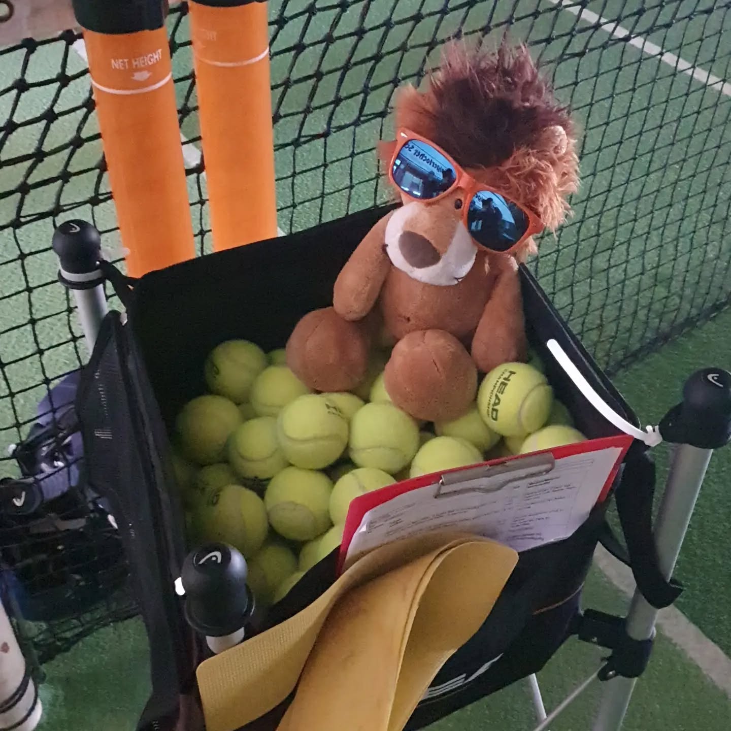 Letzte Trainingswoche im Tenniscenter Horb. Danach wird die private Tennishalle in eine reine Padelhalle umgebaut. Die Horber Tennisvereine mit 1600 Mitgliedern schauen erst mal in die Röhre. Zwei Projektgruppen suchen nach Lösungen und hoffen auf die Unterstützung von Kommune und Gönnern. #tennis #padel #solidarität #padelblase #notlage