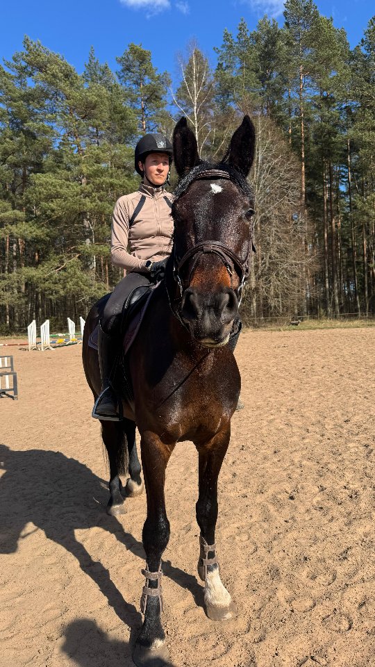 Meille saapui uusi hevonen! Tervetuloa kotiin Candella! 😍♥️
#omahevonen
#omahevonenespoonkartano
#happyrider