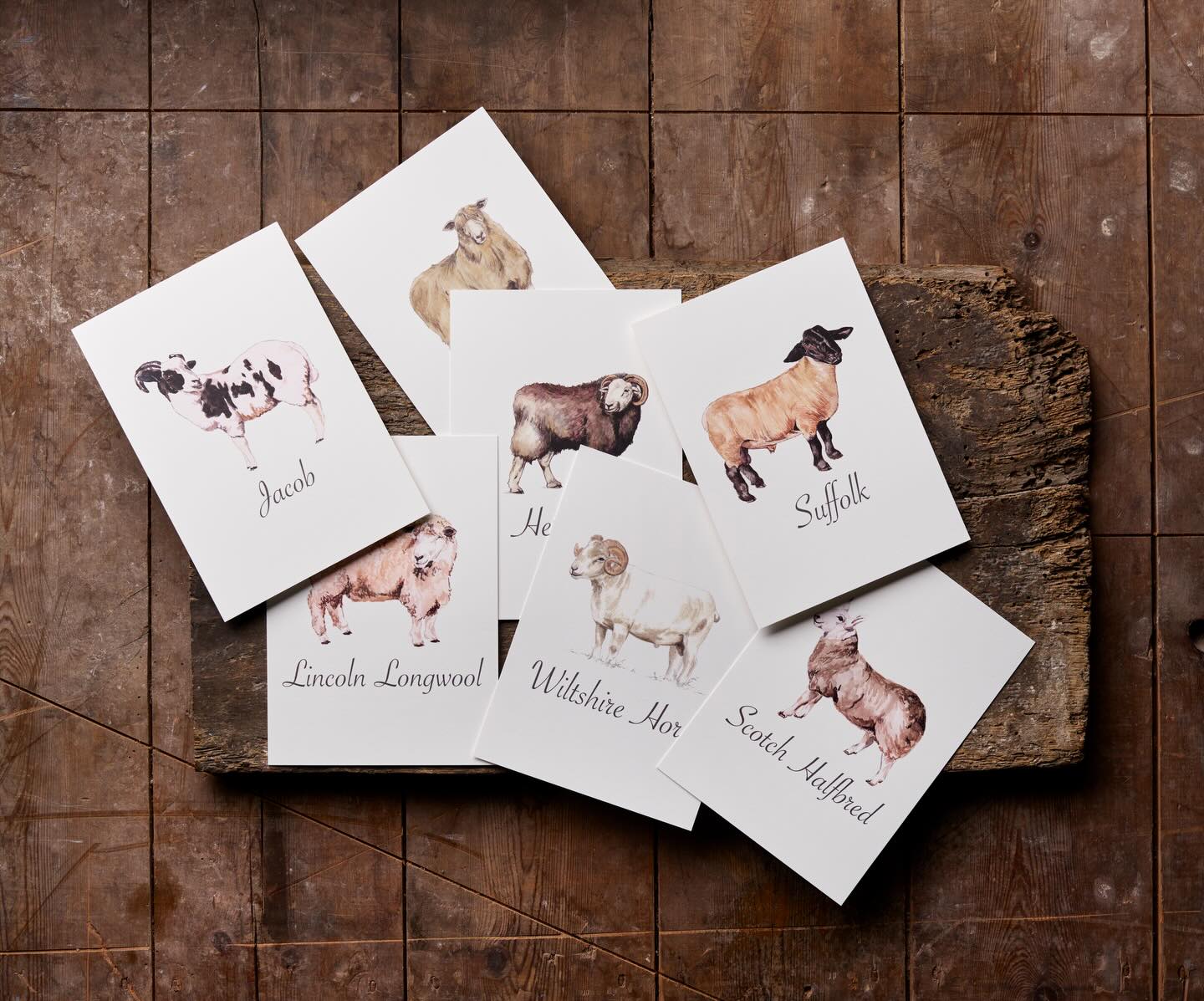 Personalisation doesn’t just have to stop at your wedding invitations.
Why not add a little of your personality to your table plan & names too? I’ve done an array of different theme including…
🐑 Sheep Breeds
🐓 Chickens
🐄 Cows
🐖 Pigs
🐕 Pets (past & present)
🚜 Farm maps with field names
🌷 Flowers
🎣 Fishing flies
The possibilities are endless, so please get in touch to discuss your ideas.
