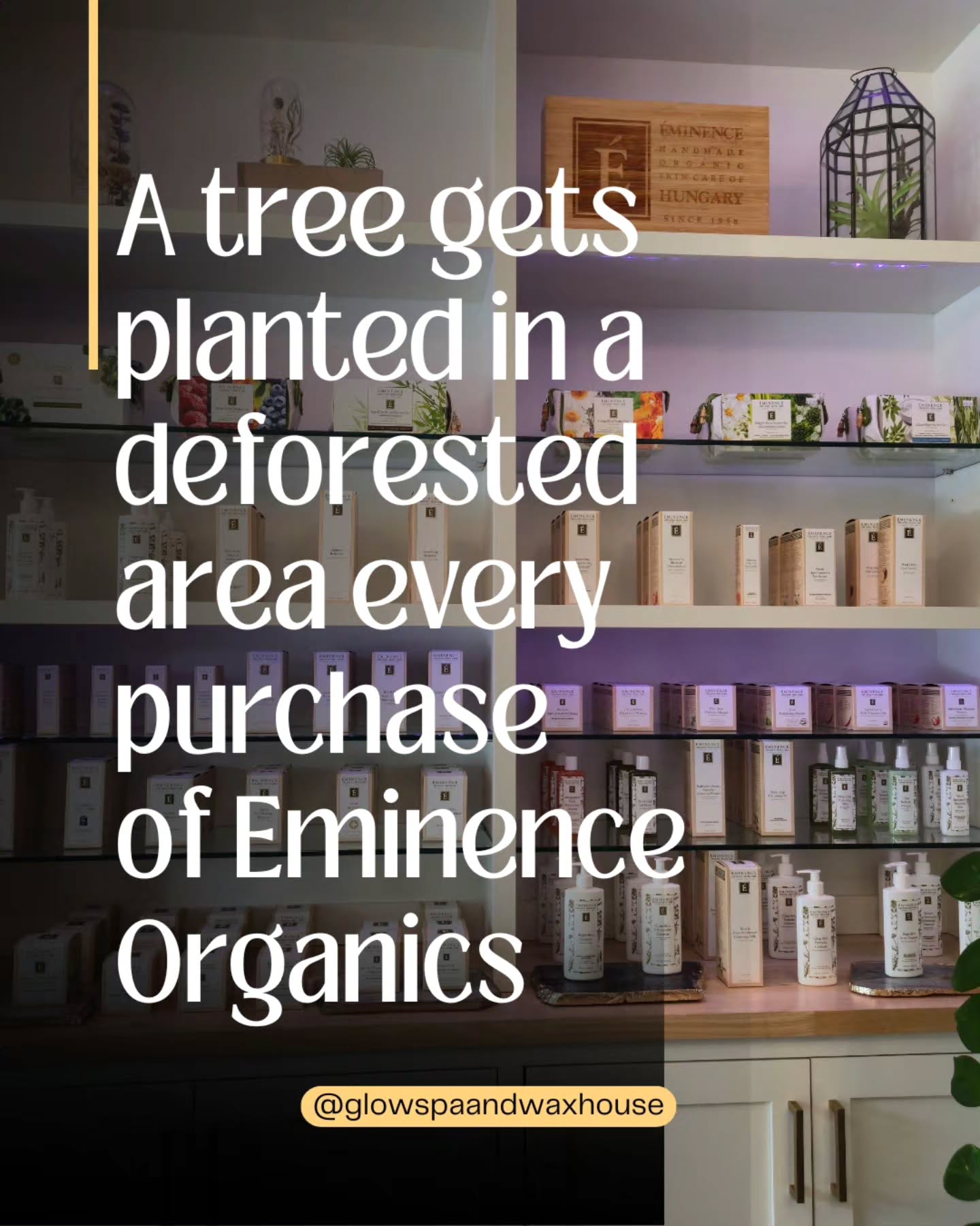 Happy Earth day y'all! We've extended our large selection of @eminenceorganics products to 11 more skews of natural loving skin goodness! With your help we have helped in supporting eminence in planting thousands of trees just from our spa retail area🤍 💐