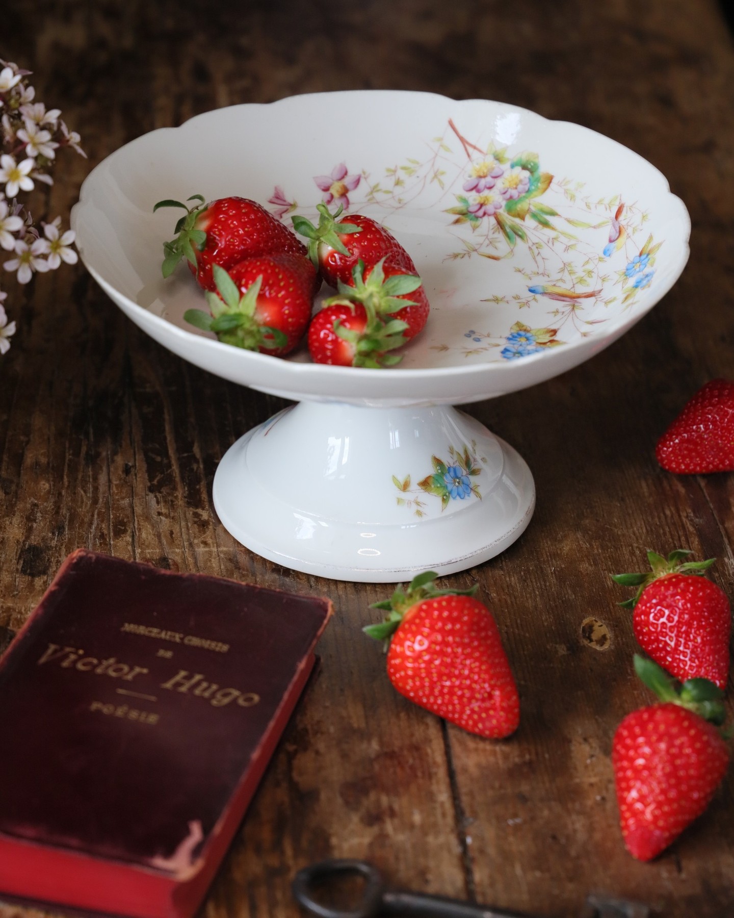 A sweet novelty available on the eShop ! This French porcelain fruits stand hand painted circa 1900.
A real delight ✨
🔗 link in bio
♻️ Choose vintage tableware and be kind to the planet.
📱Follow my Instagram to make sure you’ll never miss a novelty.
#kitchenbrocante #instabrocante #brocanteenligne