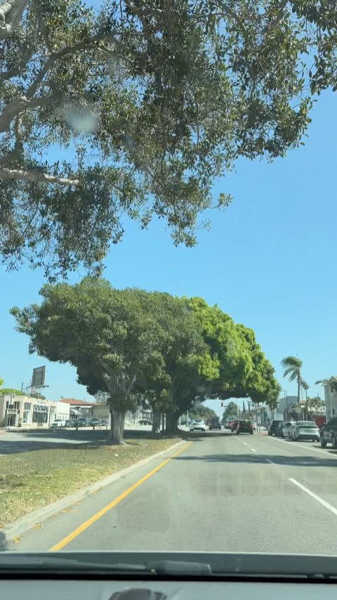 Take a trip with us from the OLD Rooster to our new home at 📍 5607 San Vicente
We measured... It's just 2.1 miles (a 10 min drive)
If you loved the old spot but haven't come to see our new digs, now's your time!