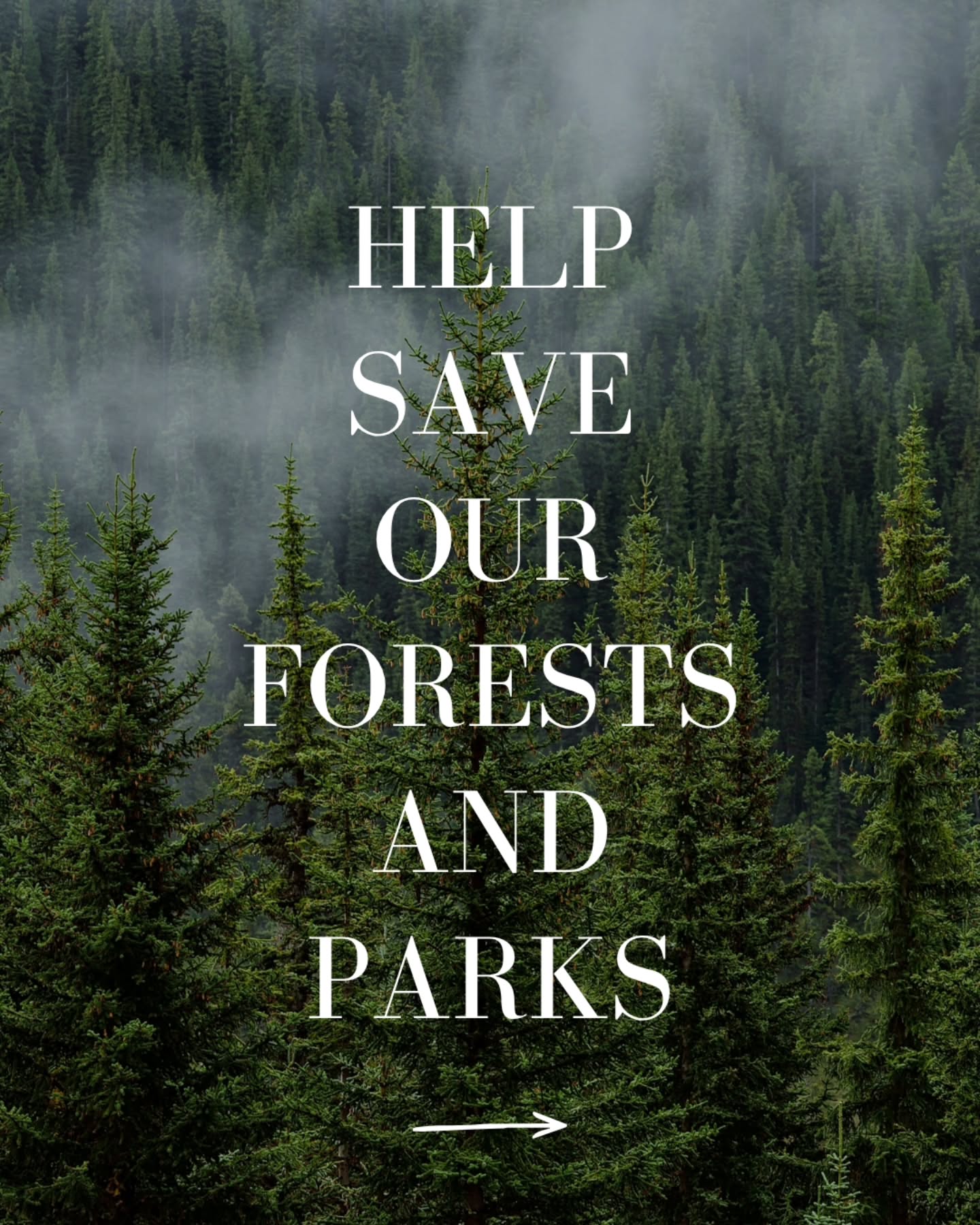 America's forests and parks are part of our shared inheritance, but right now they’re facing deep threats.
The administration’s 2027 budget proposal would cut National Park Service operations by $736 million, more than 25%, after the Park Service has already lost more than 4,000 staff since January 2025. Advocates warn that these cuts would mean fewer staff, weaker protections, delayed maintenance, and a diminished visitor experience at the very moment demand for our public lands keeps growing.
These places are not disposable. They protect wildlife, preserve history, support local economies, and give all of us space to breathe, explore, and connect.
We cannot stay quiet while our forests and parks are hollowed out.
Donate: www.nationalparks.org
Donate: protectnps.org
Take action: https://saveusfs.org/
Continue to visit the National Parks. 🌲
#protectpubliclands #saveourparks #saveUSFS #nationalparks #saveourforests