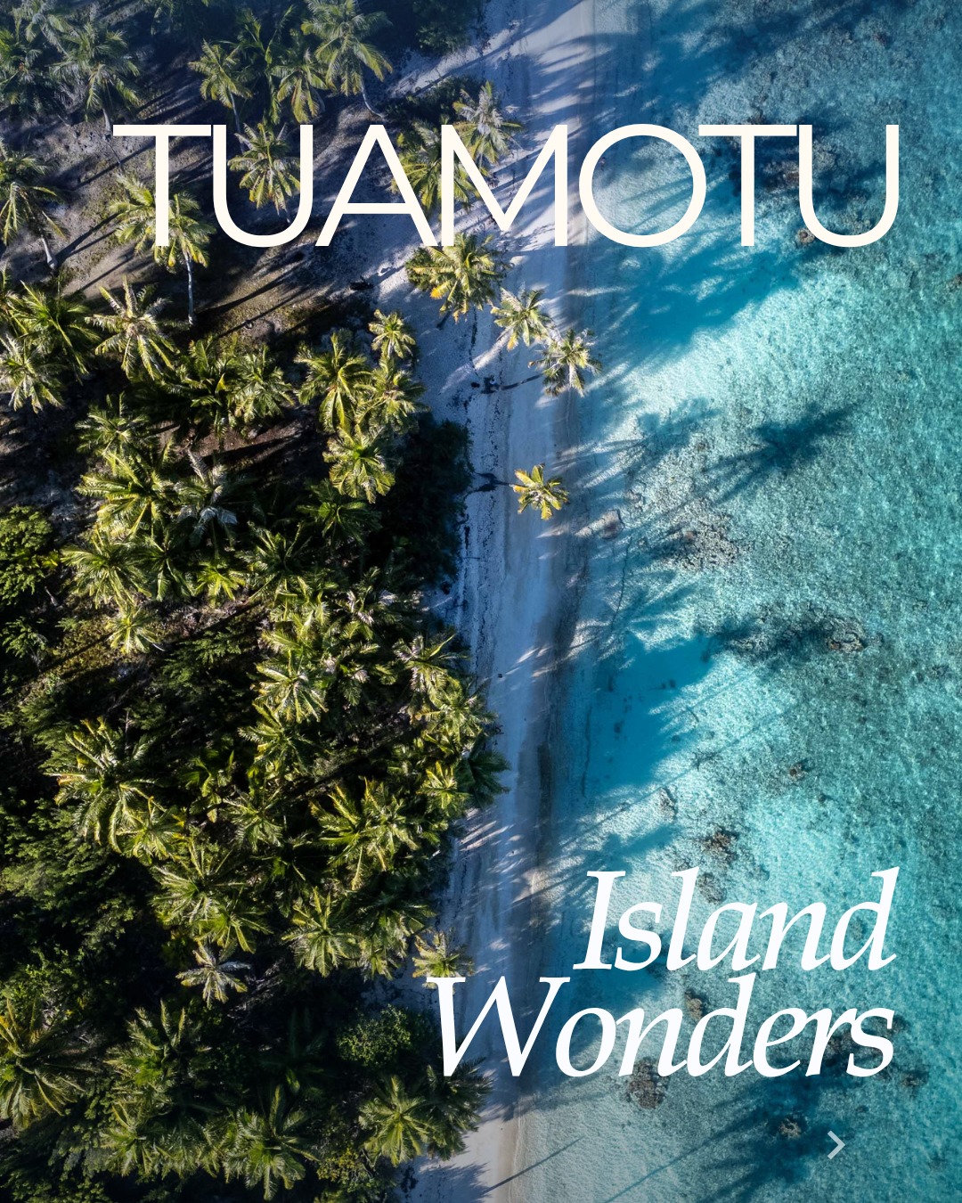 Descubra los atolones imprescindibles de las Tuamotu.
.
Discover the must‑see atolls of the Tuamotu.
📷 @dmonmond I @letikehaubypearlresorts
#MoemoeaTravel #PolinesiaFrancesa #FrenchPolynesia #Tuamotu #Fakarava #Tikehau #Rangiroa #LoveTahiti