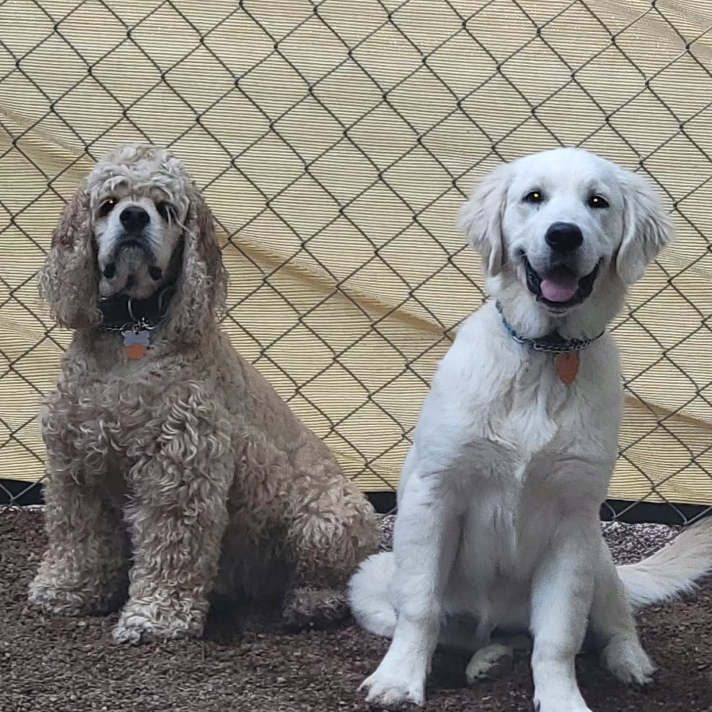 Gracie and Pete pose for a pic!
