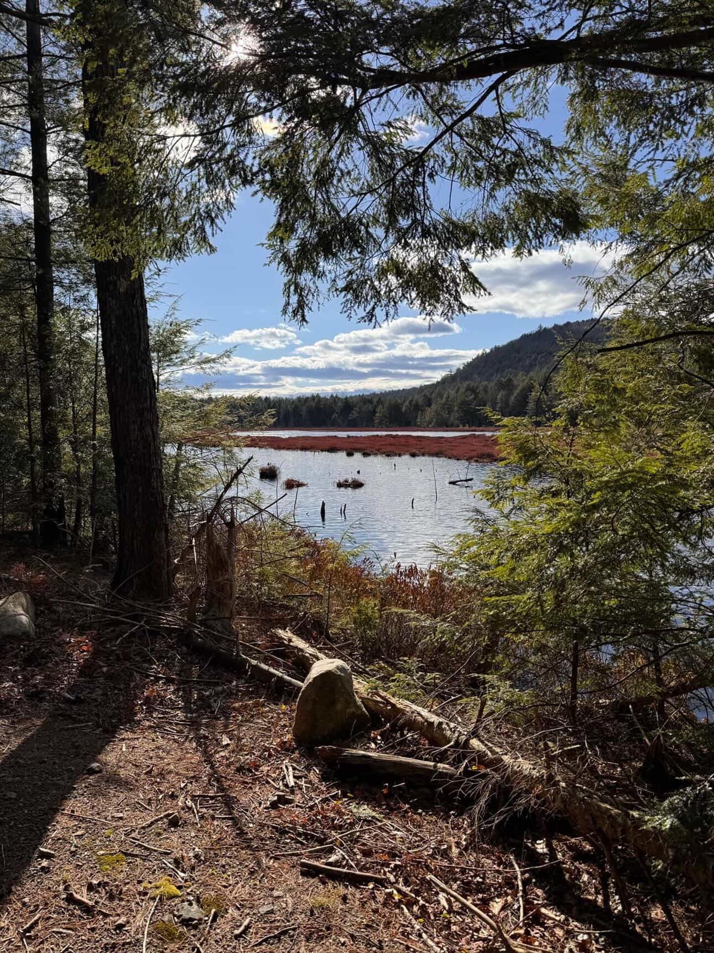 Photo of the day… send us yours from some of your first rides of the season! Who knows where this one was taken? 📷: @derekslayton #rideon #mtb #adk #ridingdirty