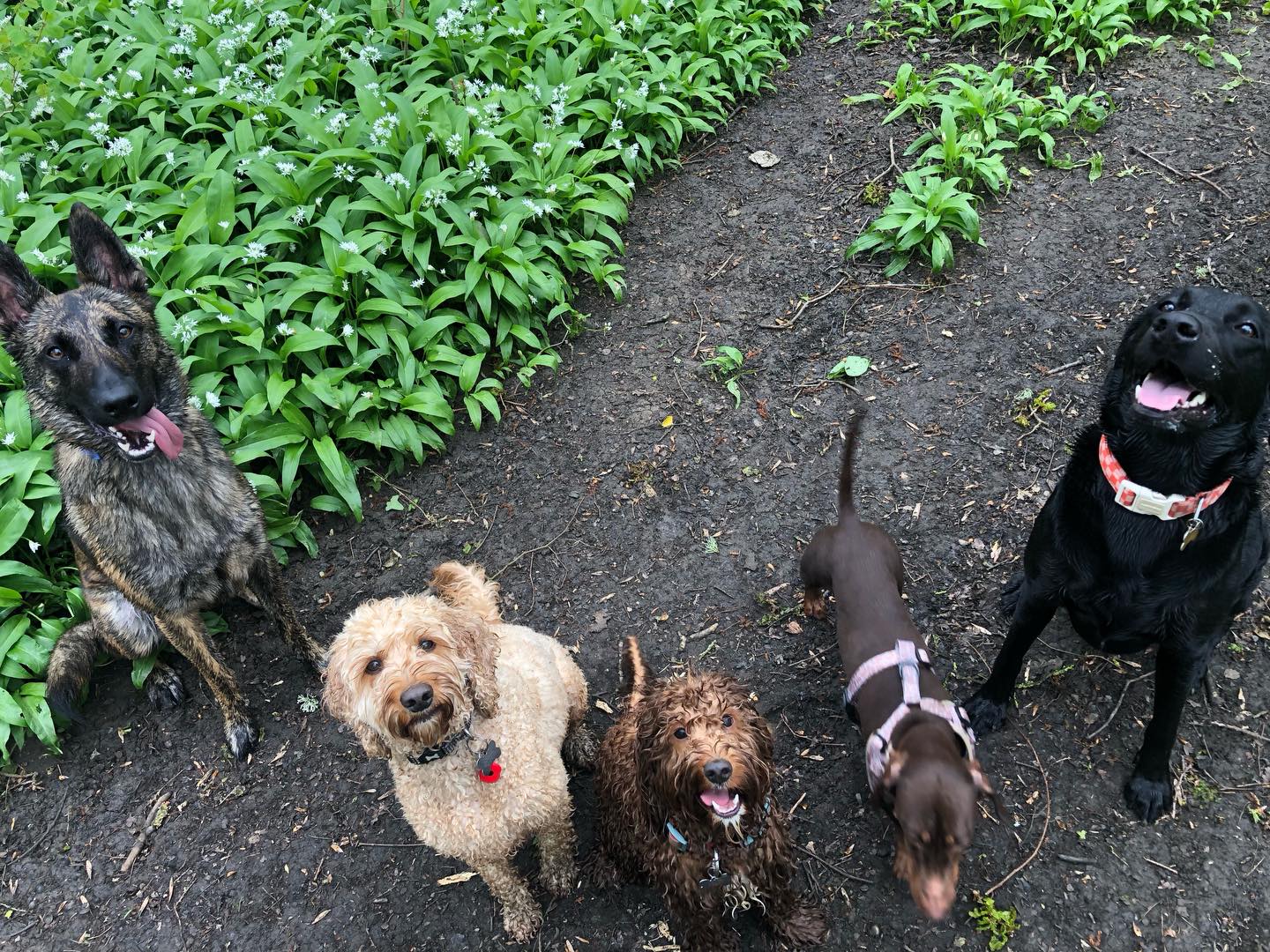 The best of friends 🥹