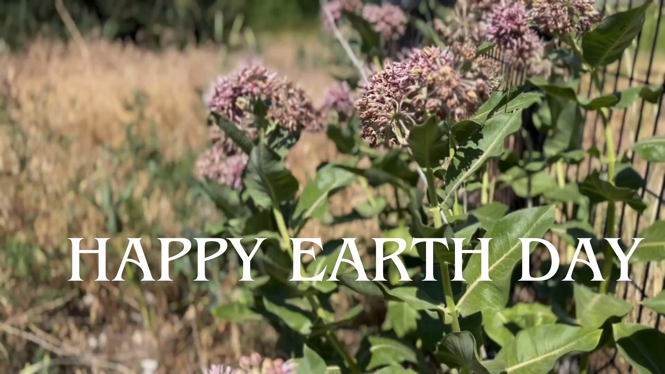 Happy Earth Day!