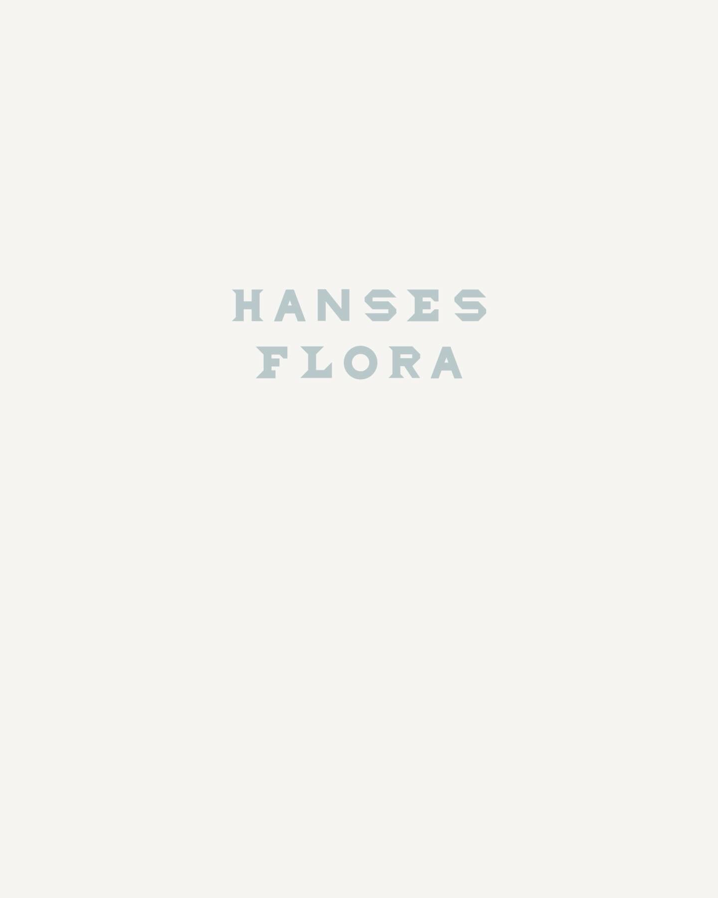 Före → efter
Ett varumärke som redan fanns, men som inte riktigt kändes.
I arbetet med @hansesflora handlade det om att göra om –
för att hitta hem.
En palett närmare jorden.
En typografi med mer tyngd.
Ett uttryck som håller över tid.
Det är ofta små justeringar som gör den stora skillnaden 🫶🏻
