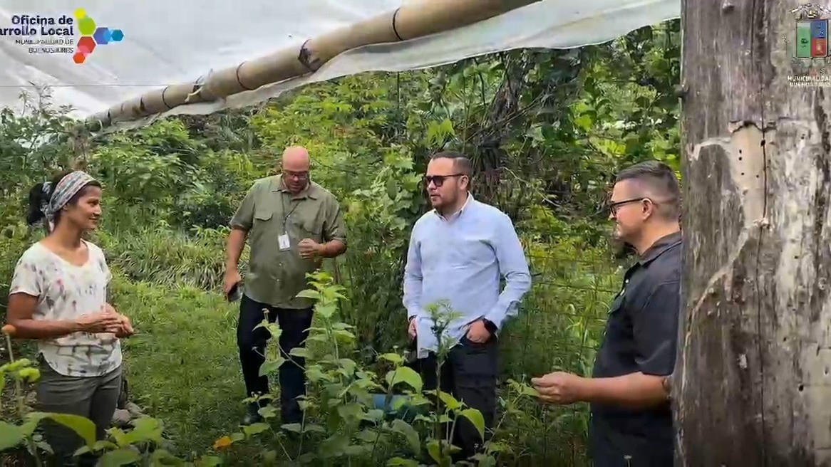 Donde la cordillera de Talamanca abraza la tierra y el agua define el ritmo de la vida, comunidades, gobiernos locales y cooperación internacional están sembrando algo más que alimentos: están construyendo futuro.🌎 🇨🇷
En Buenos Aires de Costa Rica, la gestión del agua se transforma en una herramienta concreta para sostener la producción, fortalecer la autonomía y proyectar territorios más resilientes frente al cambio climático💧
Reservorios, riego tecnificado y capacitación no son solo soluciones técnicas, son parte de un modelo que articula conocimiento, comunidad y decisión política para avanzar hacia sistemas alimentarios más sostenibles.🌱🌳
Conoce más información en www.redcisa.org