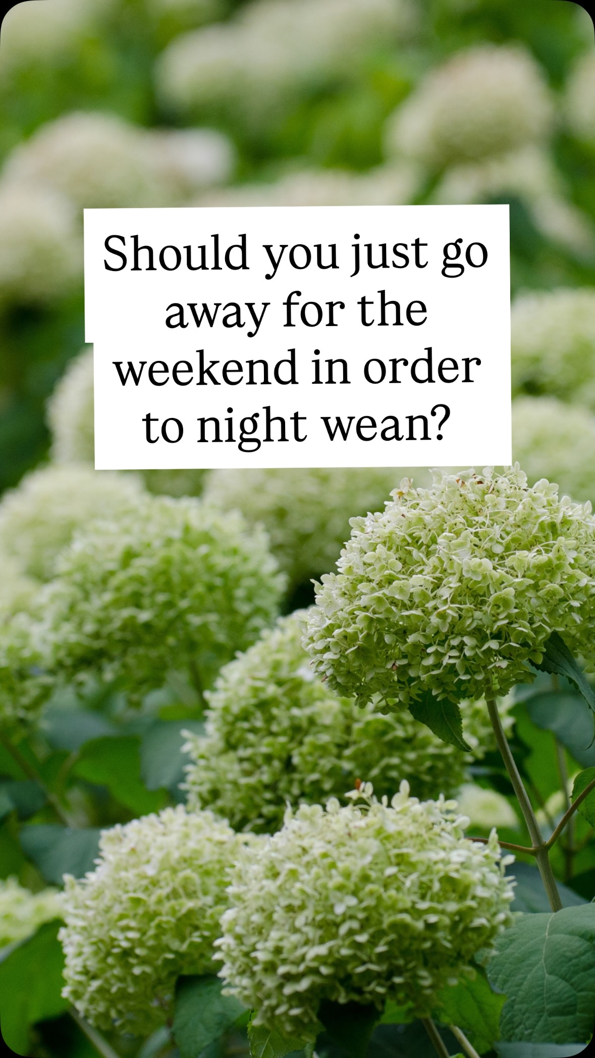 I’m not saying this strategy never works - it can. But night weaning is about so much more than simply getting a little person used to nights without milk.
What can happen is a toddler wants to BF even more once you are reunited and then the mum come home to more stress.
Tell me, how did you night wean?
Would you do it differently now?
