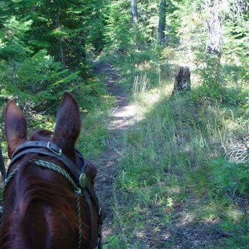 This Earth Day, go beyond appreciation—be part of preservation.
Join a trail stewardship crew along the historic Lolo Trail in Idaho.
🗓️ June 17–20, 2026
Step into a one-of-a-kind voluntourism experience along the routes of the Lewis and Clark Expedition and the Nez Perce Flight of 1877.
👉 Learn more & join. Link in comments
#EarthDay #voluntourism #leavenotrace #LoloTrail #lewisandclarktrail was
