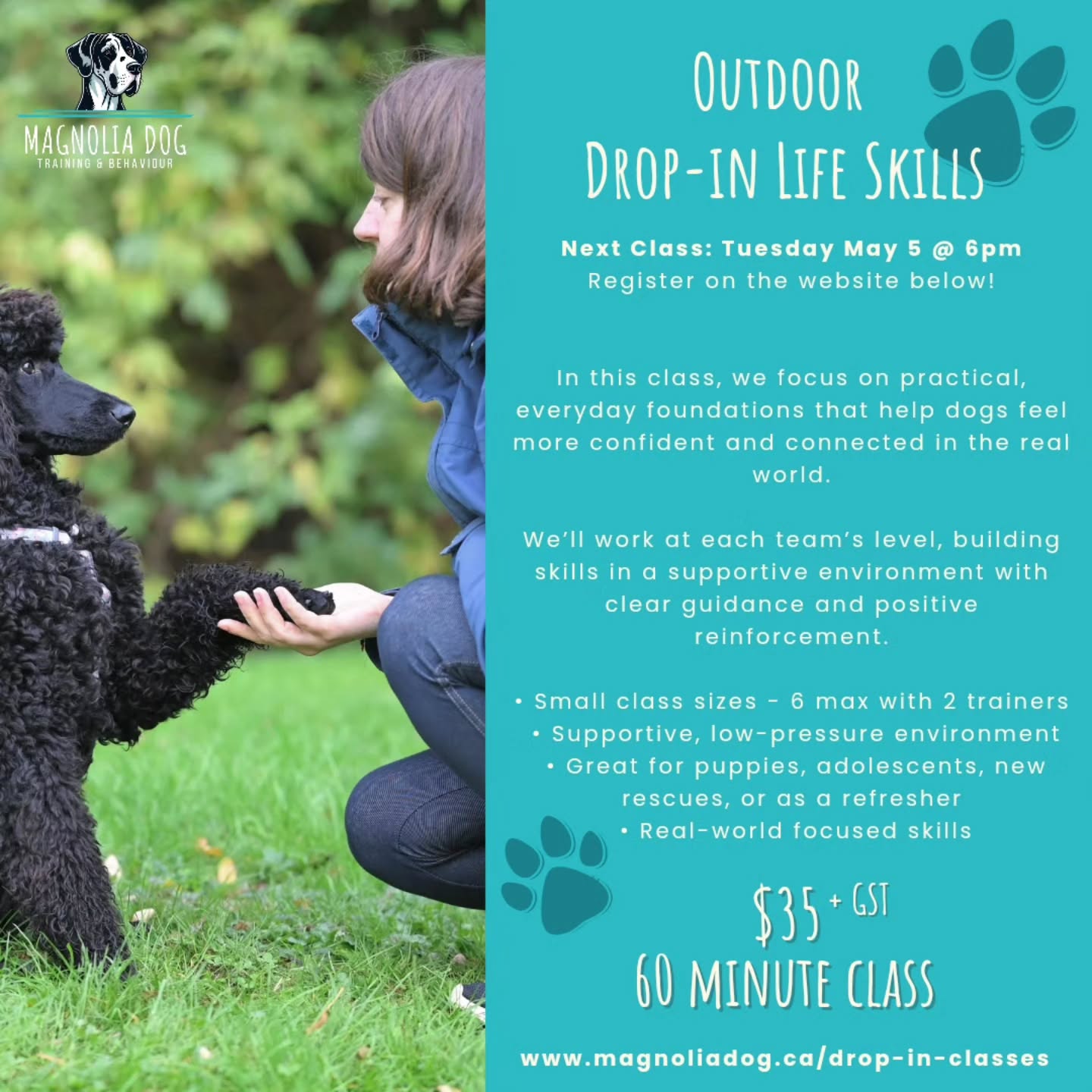 🐾 Last minute plans tonight in Poco? Come join our Drop-In Life Skills Class at 6pm!
This super flexible class is perfect for working on exactly what you and your dog need: loose leash walking, building rock-solid focus, reliable recall, adding fun & engagement, practicing settle outside, and more. No rigid curriculum, just practical skills you can use every day.
Spots are still available! Registration is quick and easy on our website under Drop-In Classes.
See you tonight! 👋✨