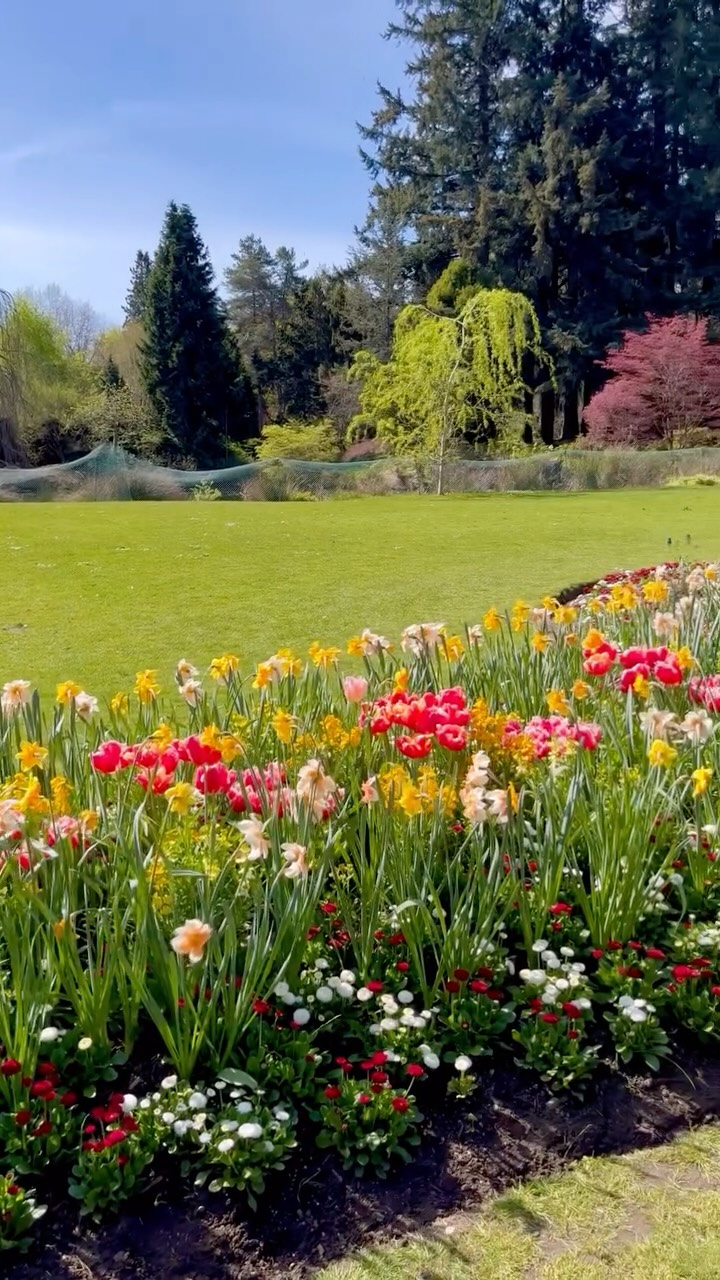 Blessed to visit @vandusengarden on a perfect spring day in Vancouver đź
Special shouts to Dorothy for generously showing us around đ¤