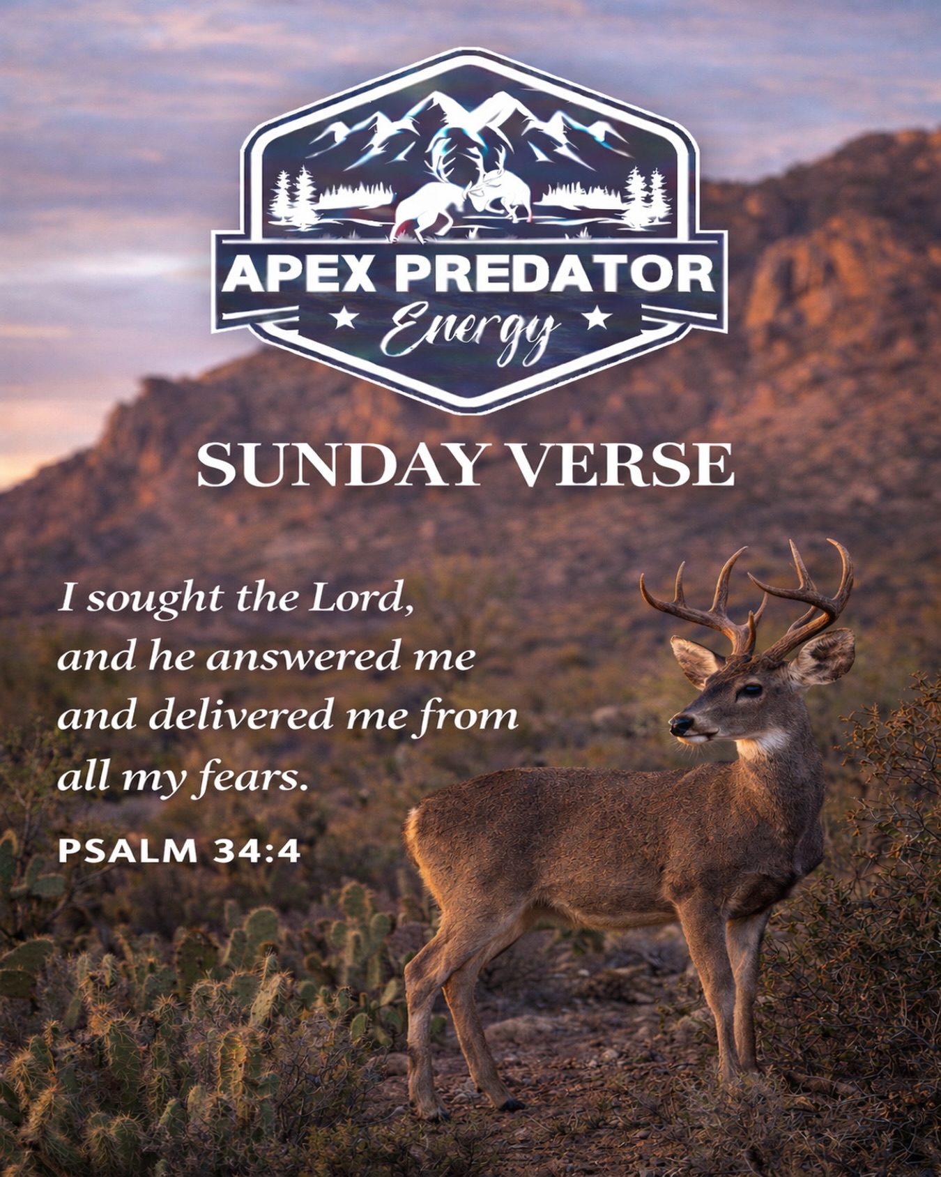 Faith over fear.
#sundayverse #apexpredatorenergy