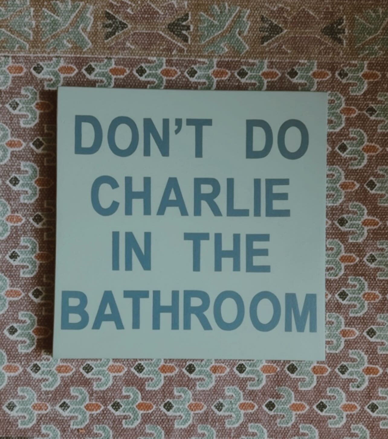 something to read in the bathroom …
.
.
.
.
#customsigns #signwriter #grownups #bathroomart #blueaesthetic