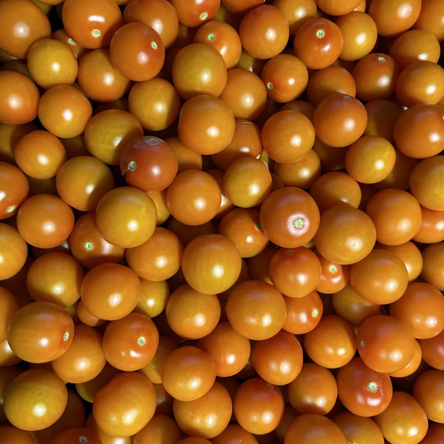 Who's ready for fresh tomatoes? Stop by our stall at @citymarketkc tomorrow for fresh tomatoes & asparagus!