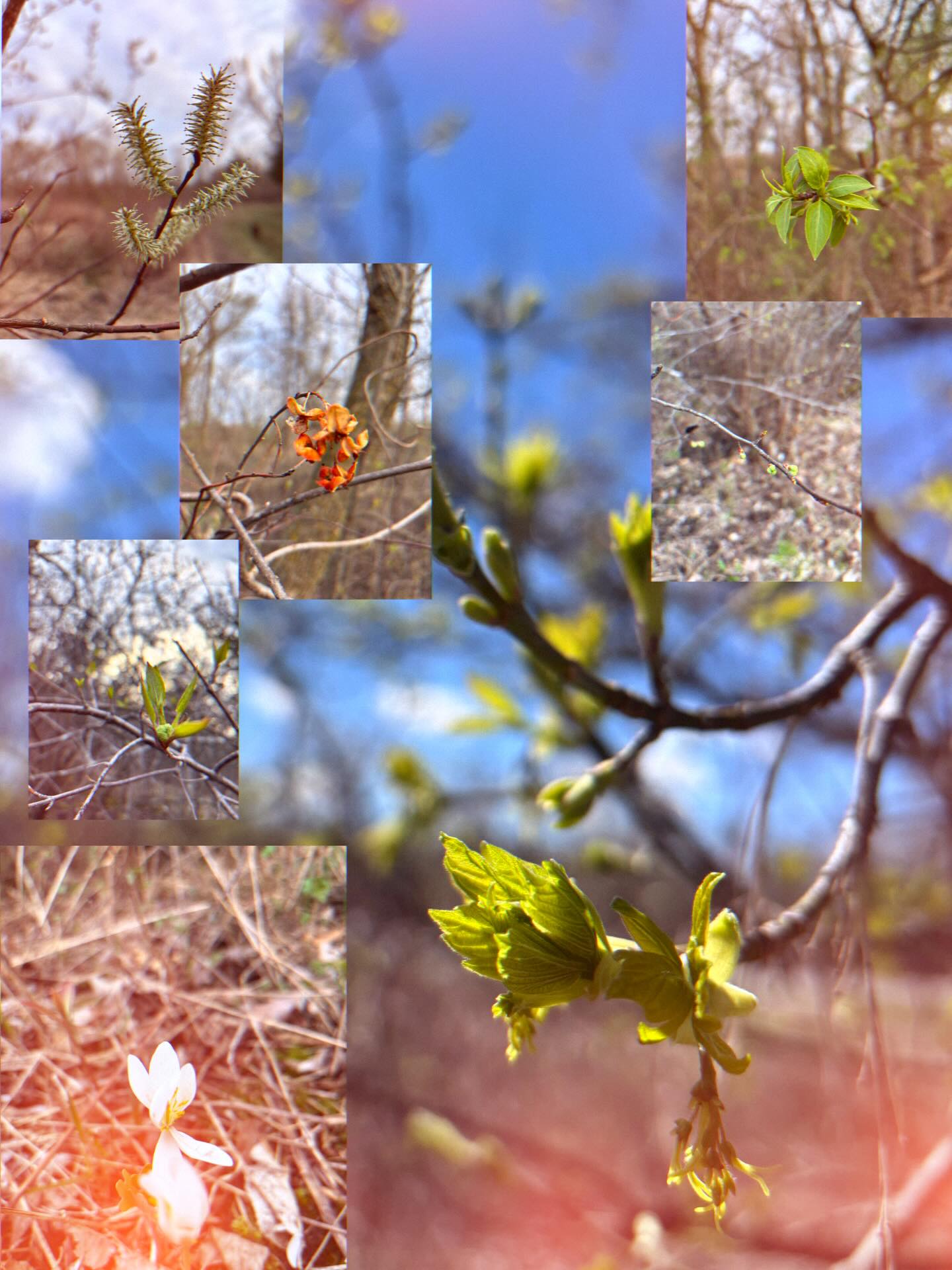This song embodies spring to me. It is the time of year (in melody form) when life begins over again or however F. Scott Fitzgerald said it.
This song is about dreaming again with eyes wide open and realizing how long you’ve been asleep. It’s remembering that life isn’t so much about the goals and having the things, but the getting there and how you got there that makes the difference. After all, we can run endlessly for things that in the end aren’t going to fill the holes inside us, so we might as well enjoy the ride.
It’s falling in love with the chase of life itself. It’s knowing that it is a miracle and magic enough that air continues to fill our lungs.
.
Anyway I'm excited for warmer weather and new projects I'm working on. Also go check out @littleimage I've been listening to Kill the Ghost non stop.