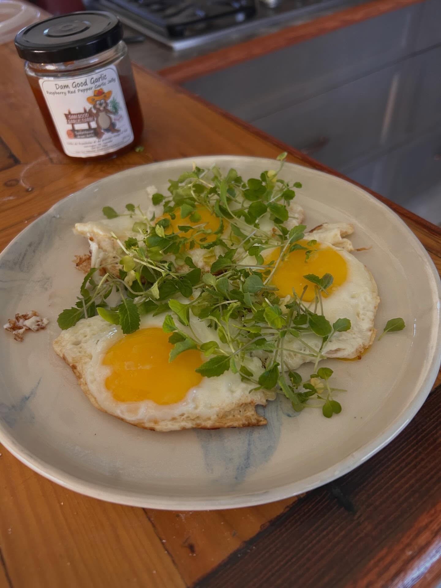 Getting ready to go to Third and Bird with my daily eggs and microgreens!!