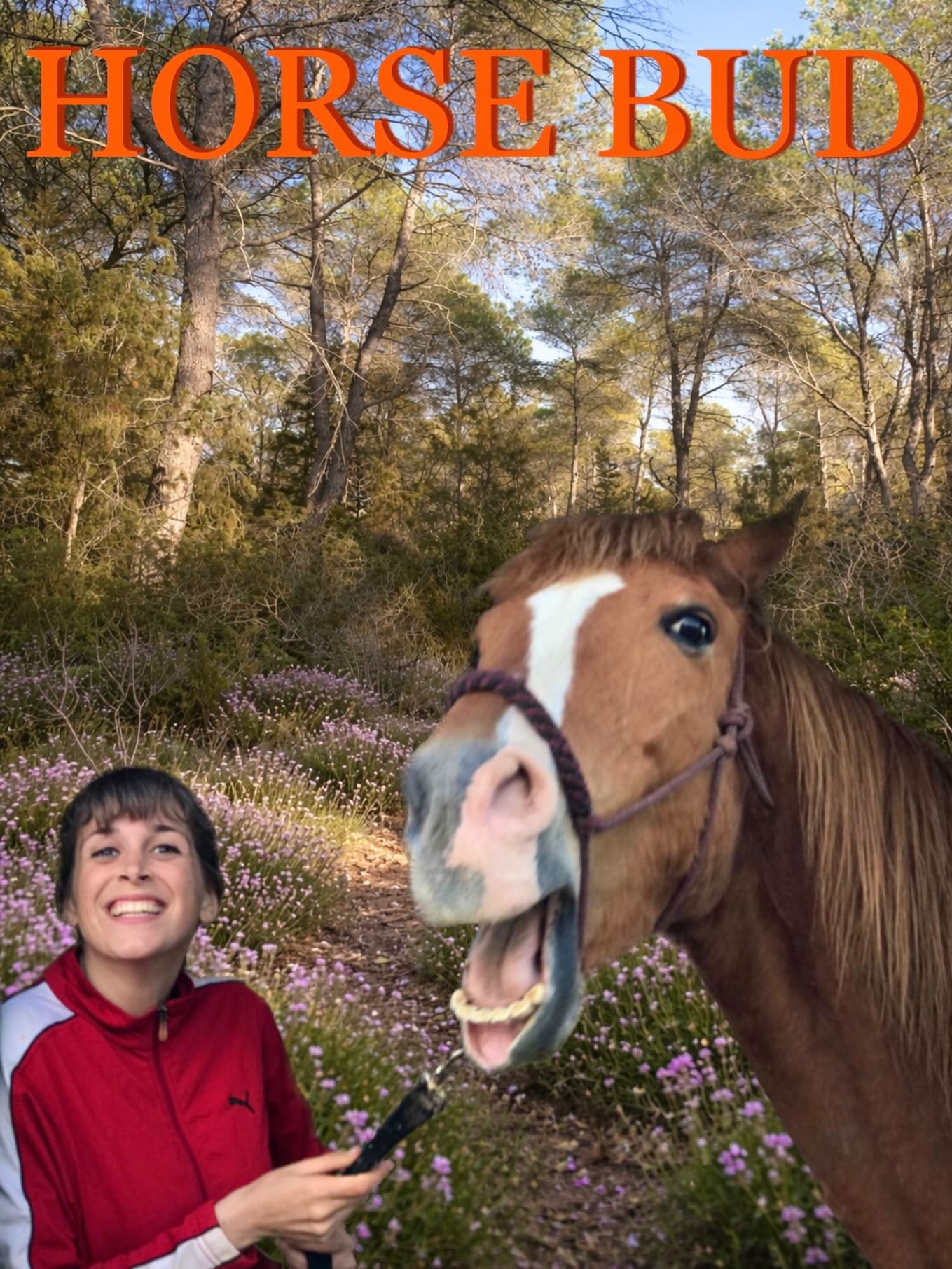 🇪🇸 ¡Bienvenid@s a Horse Bud!
Soy Jazmín, y aquí estoy con mi caballo Apache.
Lo tengo desde que nació, hace 24 años.
Somos seres felices que vivimos en Ibiza.
Hablo español 🇪🇸, inglés 🇺🇸 y francés 🇫🇷.
Mis caballos hablan comida y amor. 🥕🫶😋
Aquí celebramos la magia, la sensibilidad, la sabiduría y la belleza de los caballos.
✨Síguenos para descubrir historias conmovedoras, consejos de equitación para fortalecer tu conexión con los caballos, artesanos que mantienen viva la tradición y un toque de humor de vez en cuando.
__
🇺🇸 Welcome to Horse Bud!
I’m Jazmin, with my horse son Apache.
I’ve had him since he was born, 24 years ago.
We happy, shiny beings living in Ibiza.
I speak Spanish 🇪🇸, English 🇺🇸 and French 🇫🇷.
My horses speak food and love. 🥕🫶😋
Here, we celebrate the magic, sensitivity, wisdom, and beauty of horses.
✨Follow along for heartwarming stories, gentle horsemanship tips to deepen your connection with horses, the artisans who keep tradition alive, and a bit of humor here and there.
#horsebud #horsemanship #horselovers #soulfulliving #animalwisdom