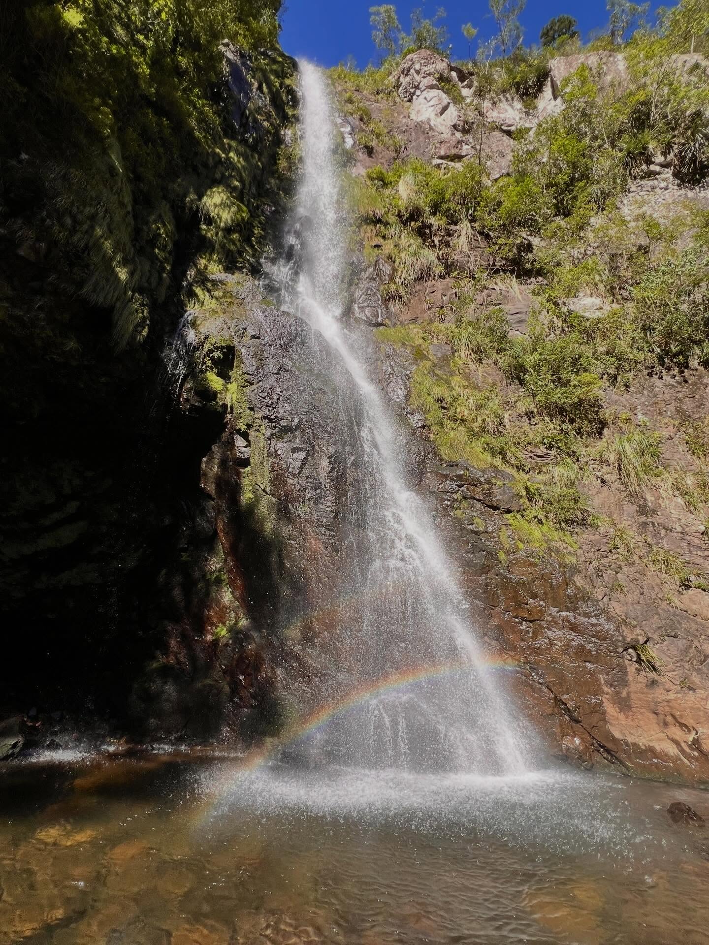 E tem lugares que parecem descobrir a gente.
No meio do Rio do Boi, entre pedras, água gelada e o som da cachoeira, o presente apareceu em forma de cor: um arco-íris desenhado pela força da água e pela luz do dia.
Talvez seja isso que faz algumas experiências serem inesquecíveis. Não é só o lugar. É a sensação de estar exatamente onde deveria estar.
Quantas cores cabem em um momento? 🌈
Trilha do Rio do Boi - Parque Nacional dos Aparados da Serra
#riodoboi #canyonsdosul #aparadosdaserra #geoparquecaminhosdoscânionsdosul #embratur